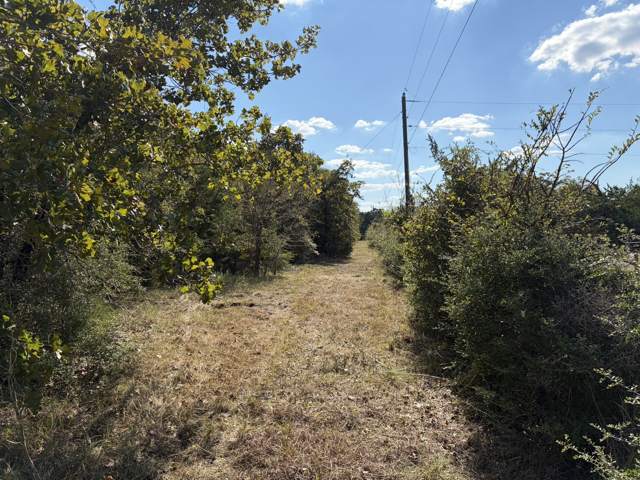 12495 Burgess Road Property Photo 35