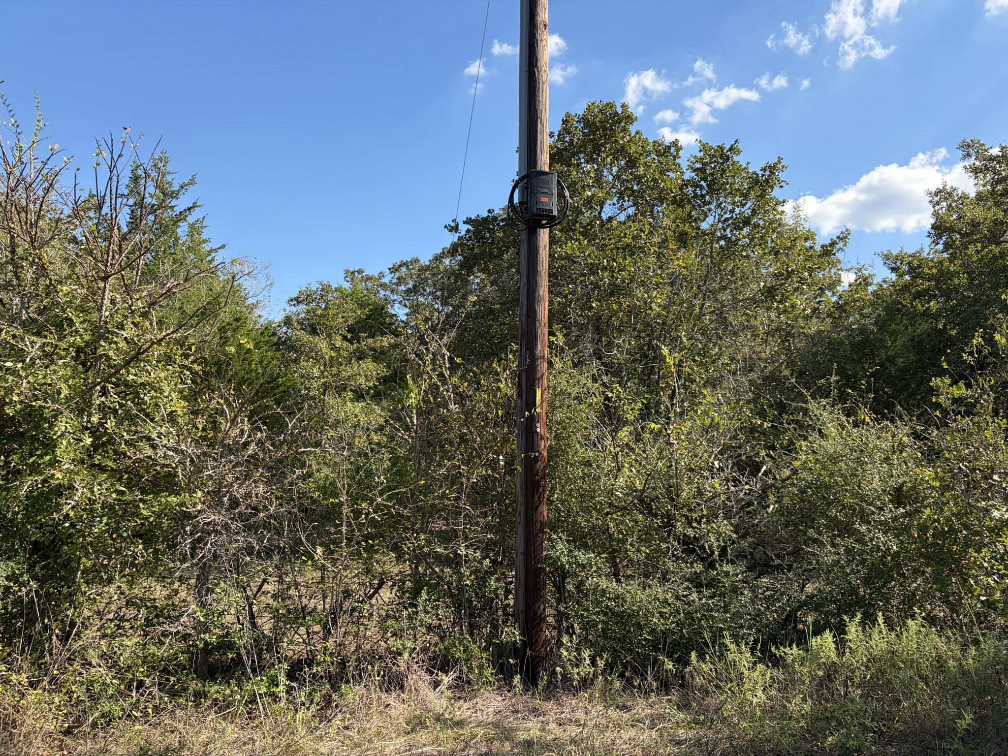 12495 Burgess Road Property Photo 36