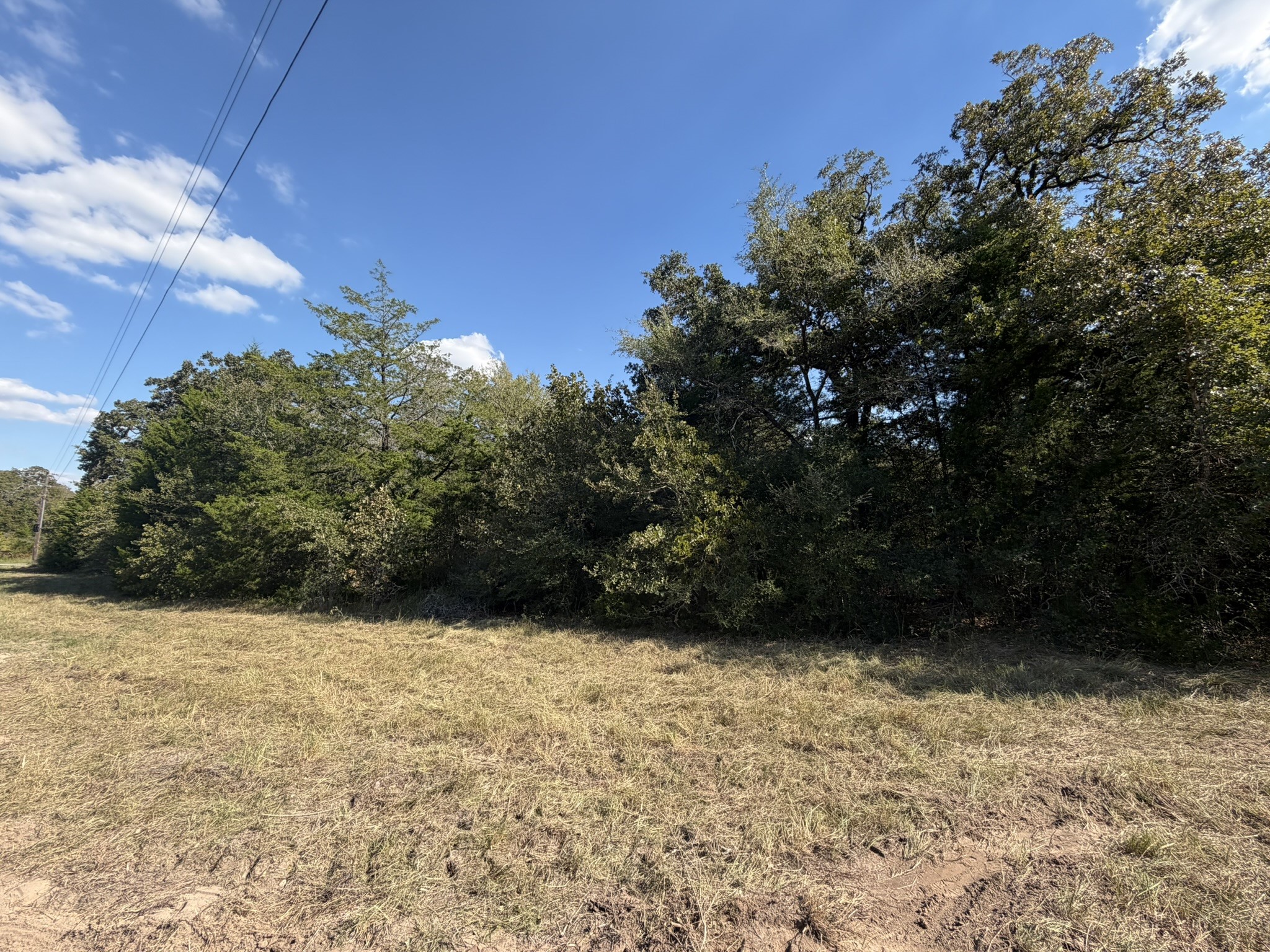 12495 Burgess Road Property Photo 39