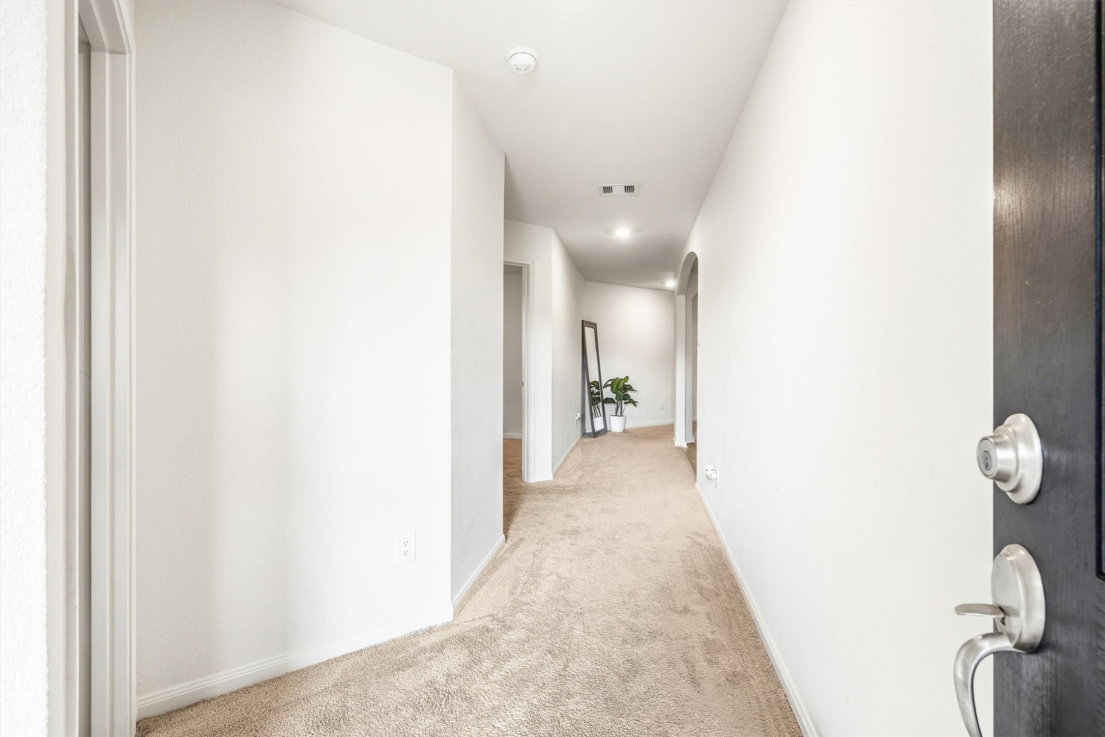 10619 Lost Maples Drive Property Photo 4