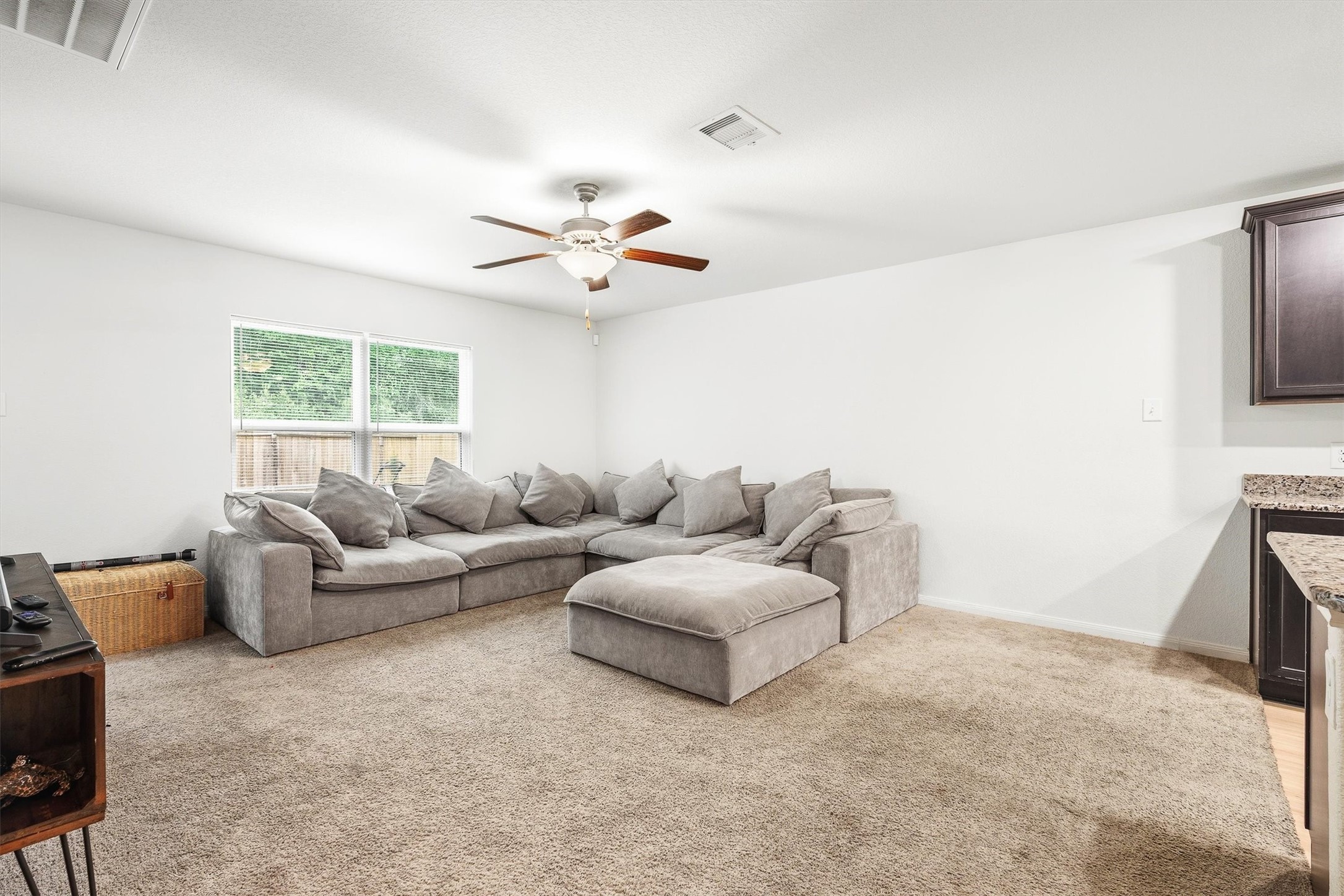 10619 Lost Maples Drive Property Photo 6