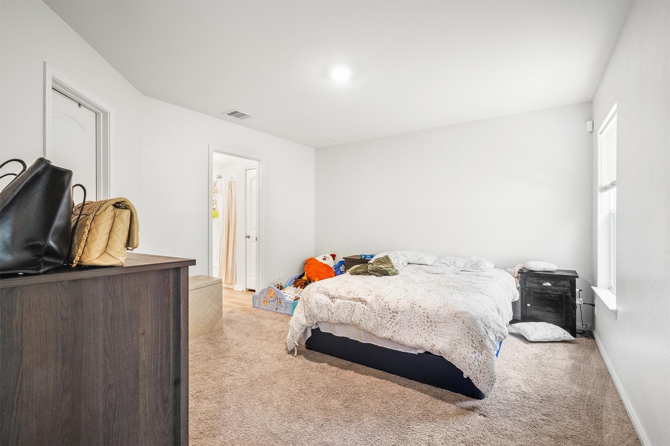 10619 Lost Maples Drive Property Photo 16