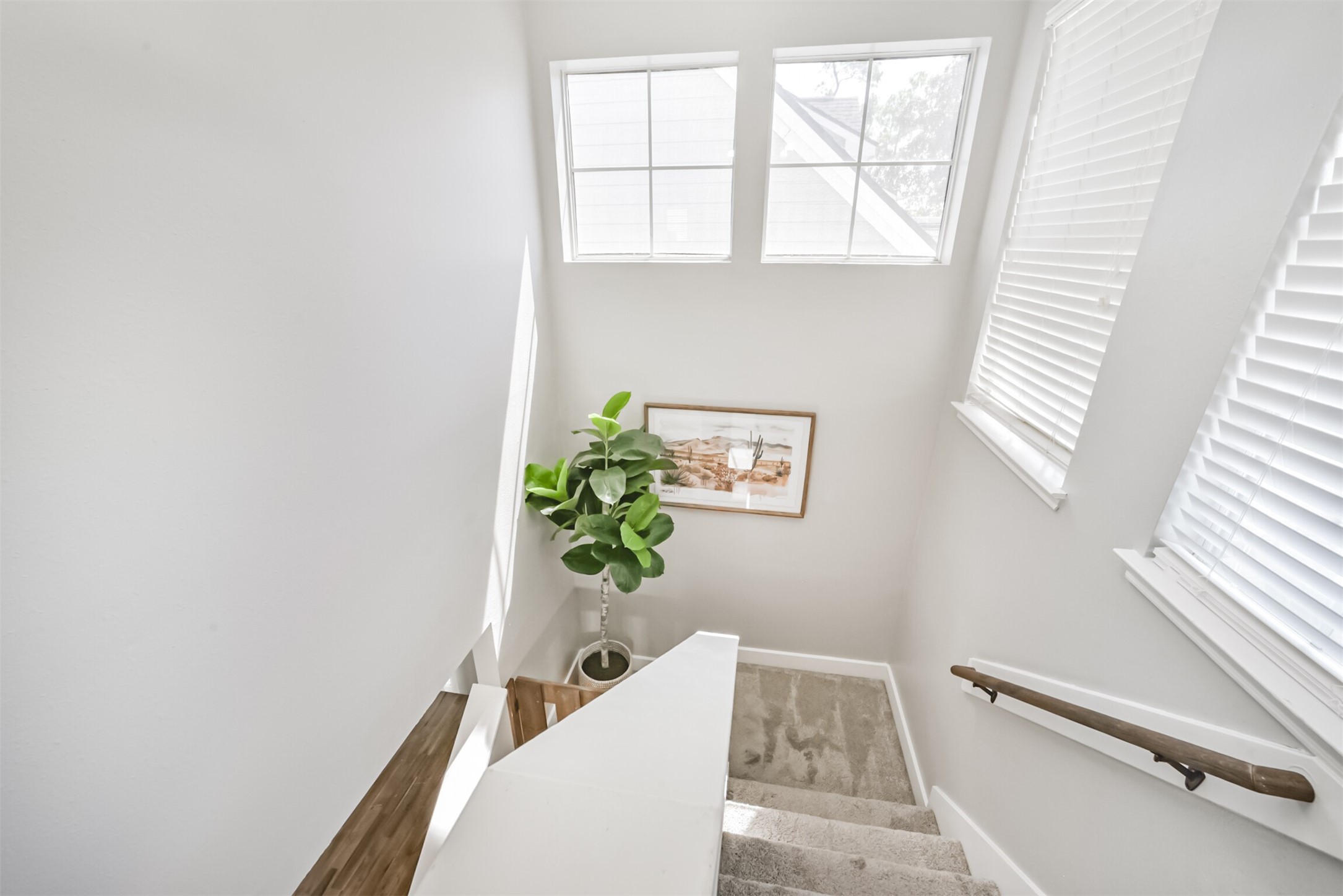 18622 Atasca Oaks Drive Property Photo 13