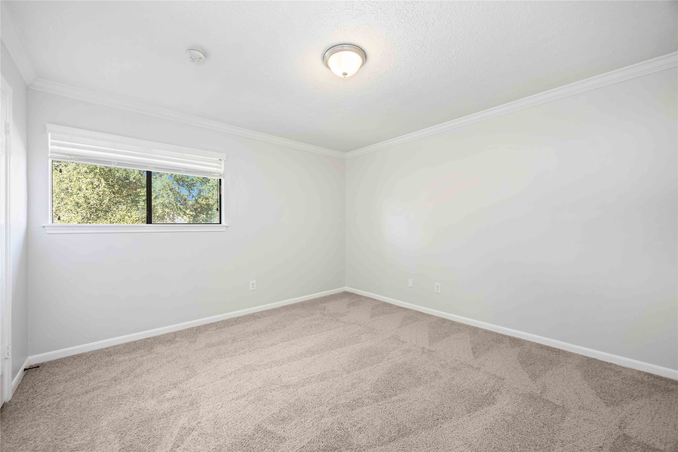 5211 Gladehill Drive Property Photo 29
