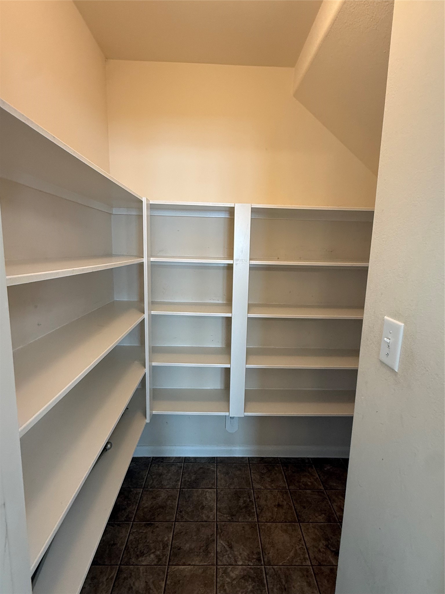 13302 Douglas Lake Road Property Photo 20