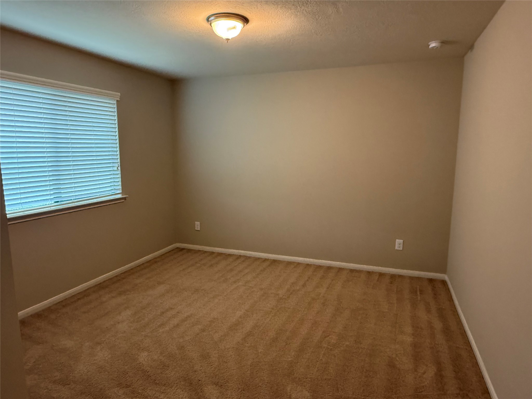 13302 Douglas Lake Road Property Photo 28