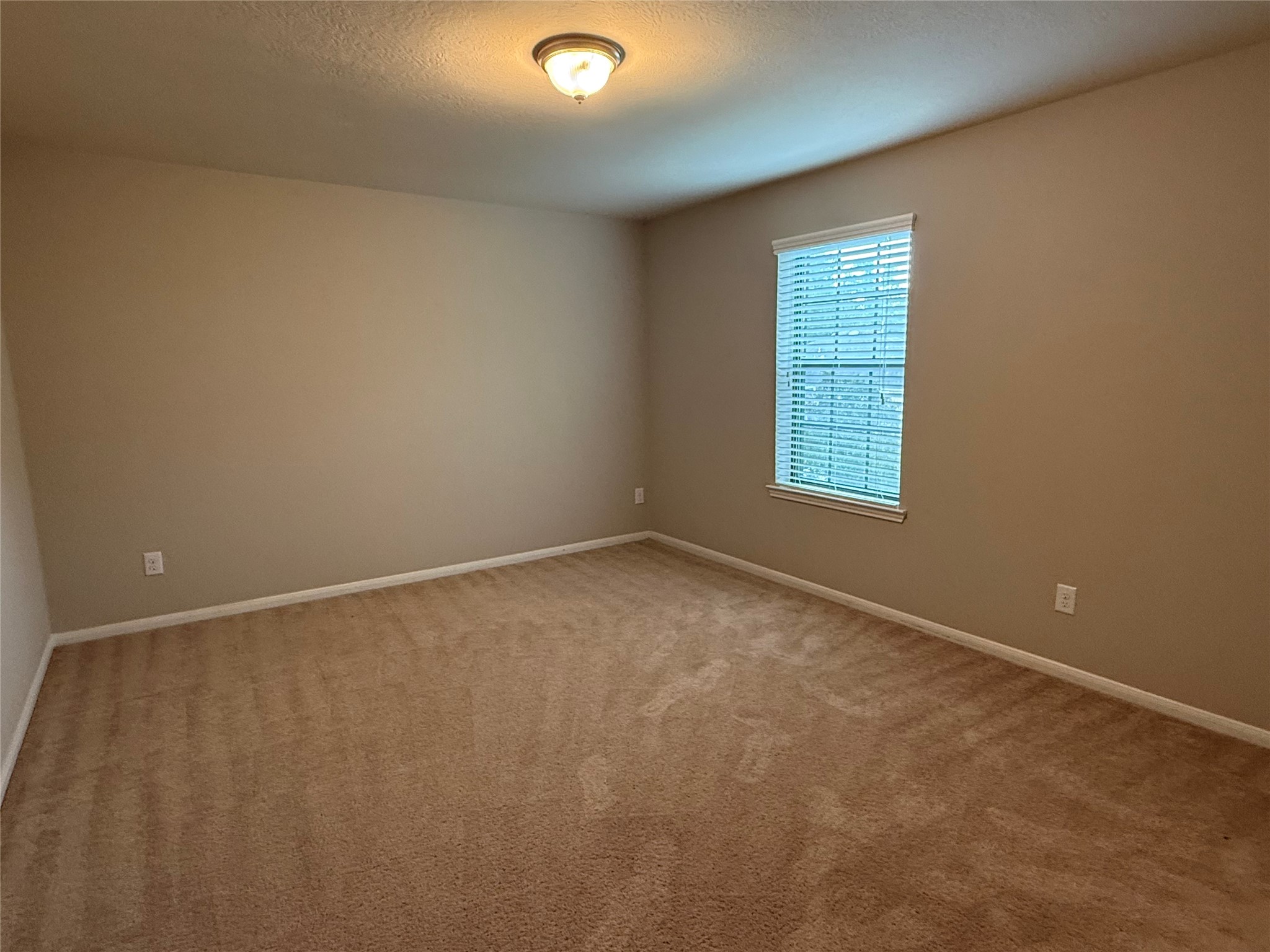 13302 Douglas Lake Road Property Photo 32