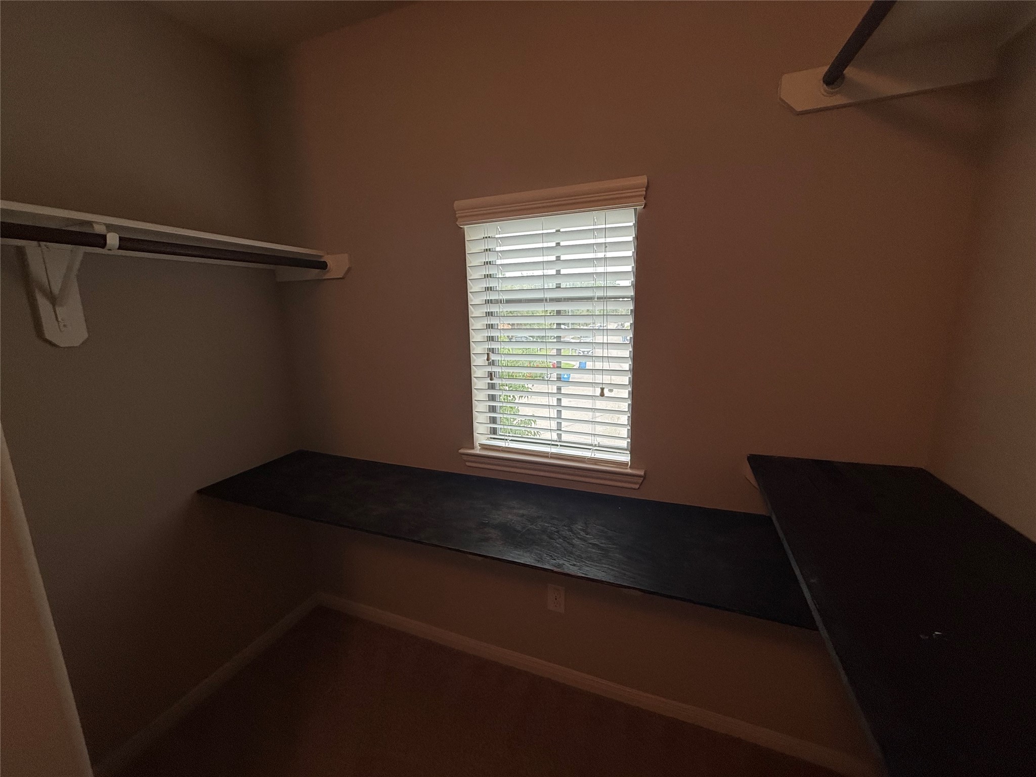 13302 Douglas Lake Road Property Photo 35
