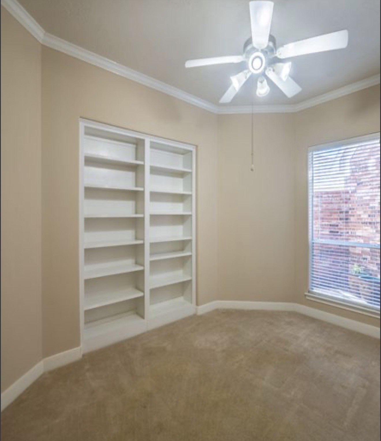 5019 Shining Creek Ct Property Photo 22