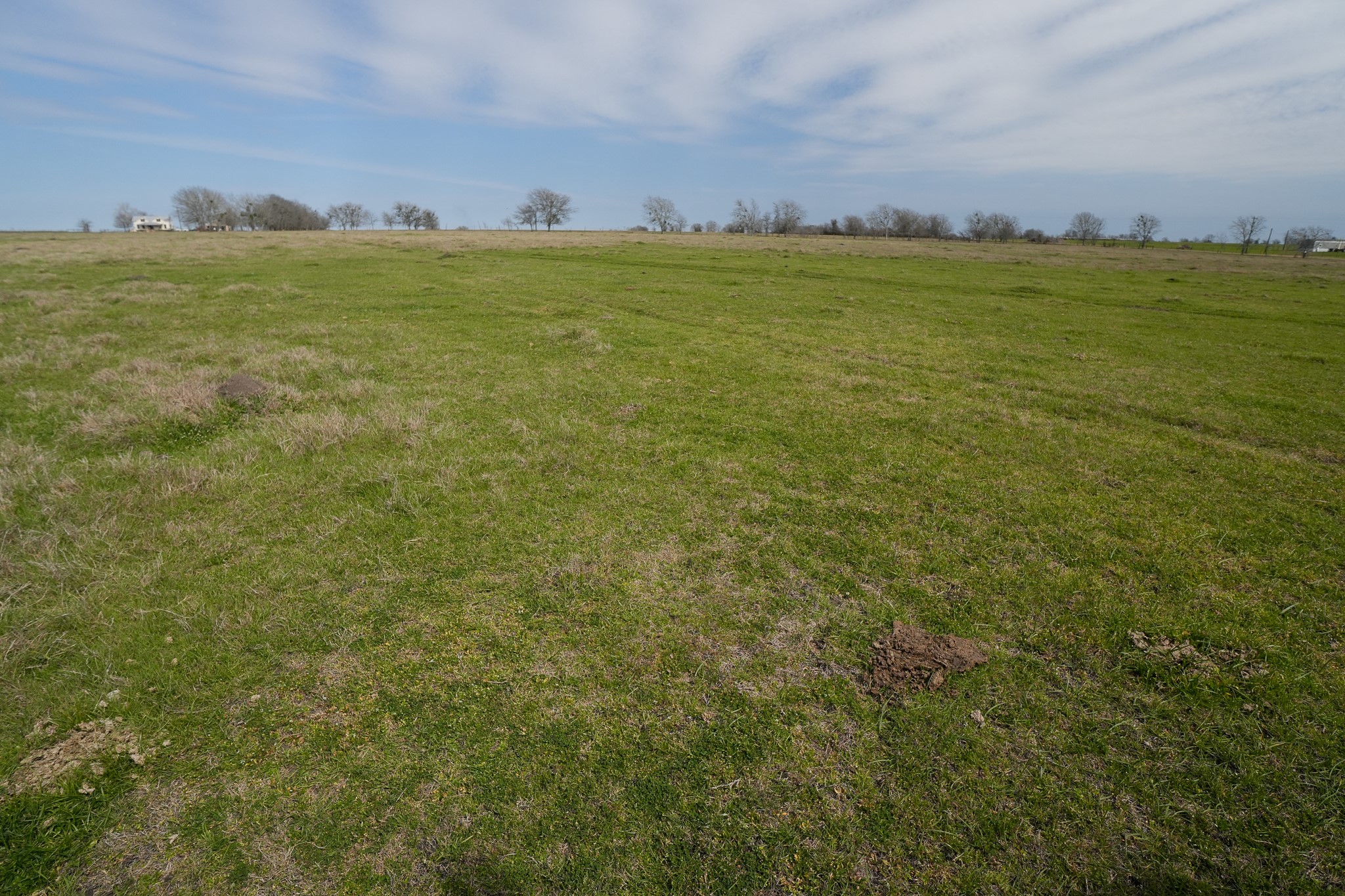 1011-1 Fm 956 Property Photo 6