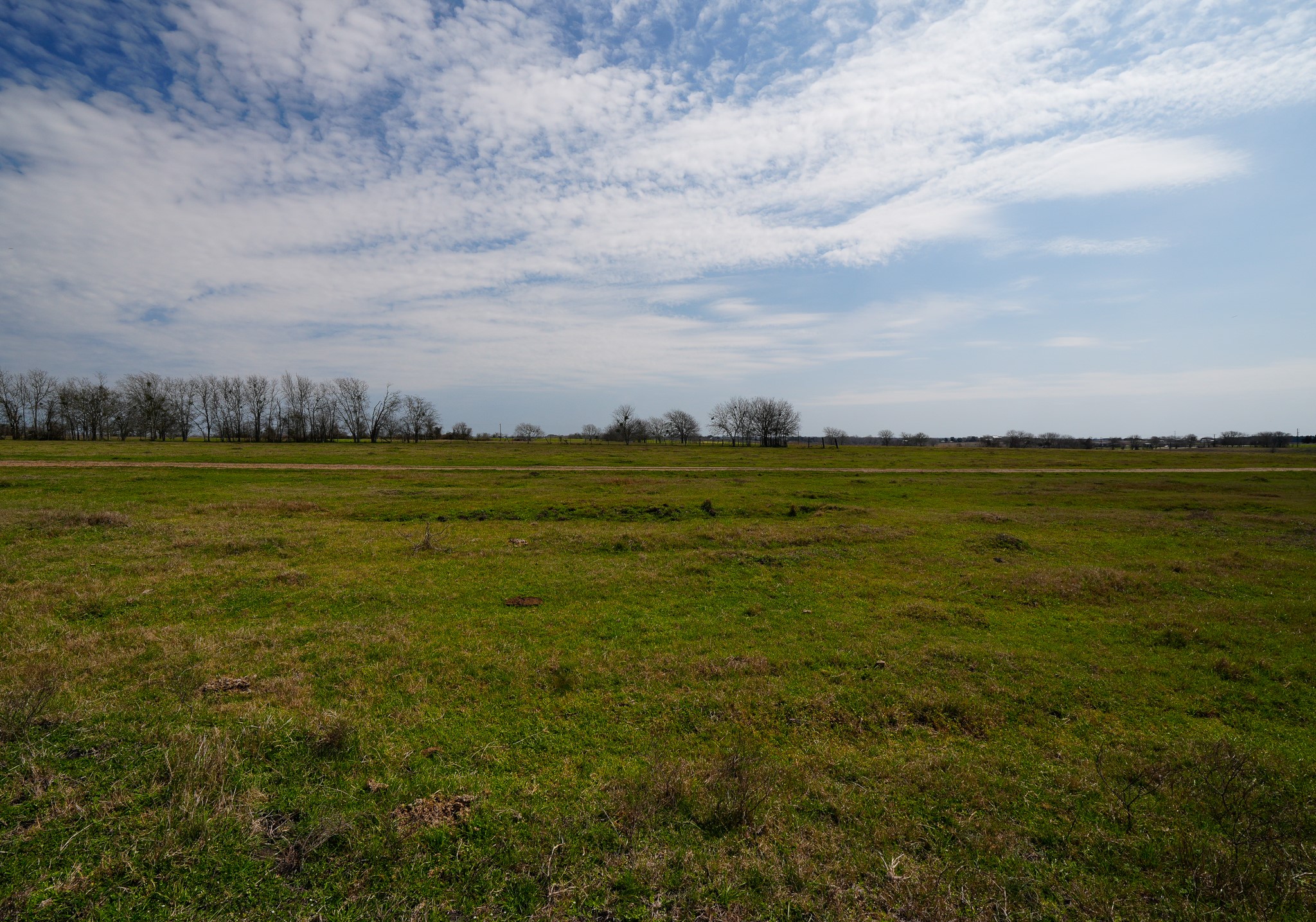 1011-1 Fm 956 Property Photo 9
