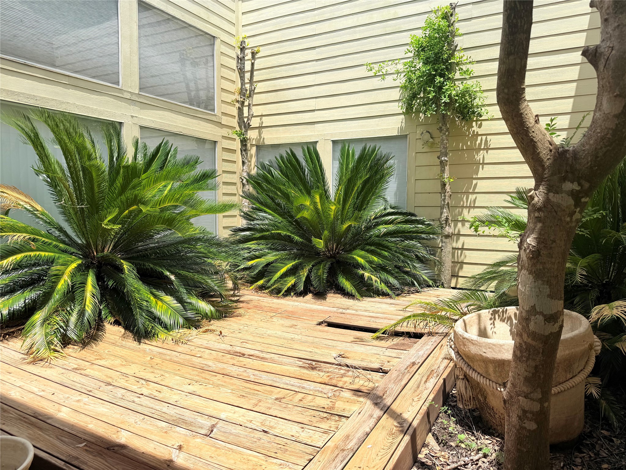 11318 Briar Forest Drive Property Photo 18