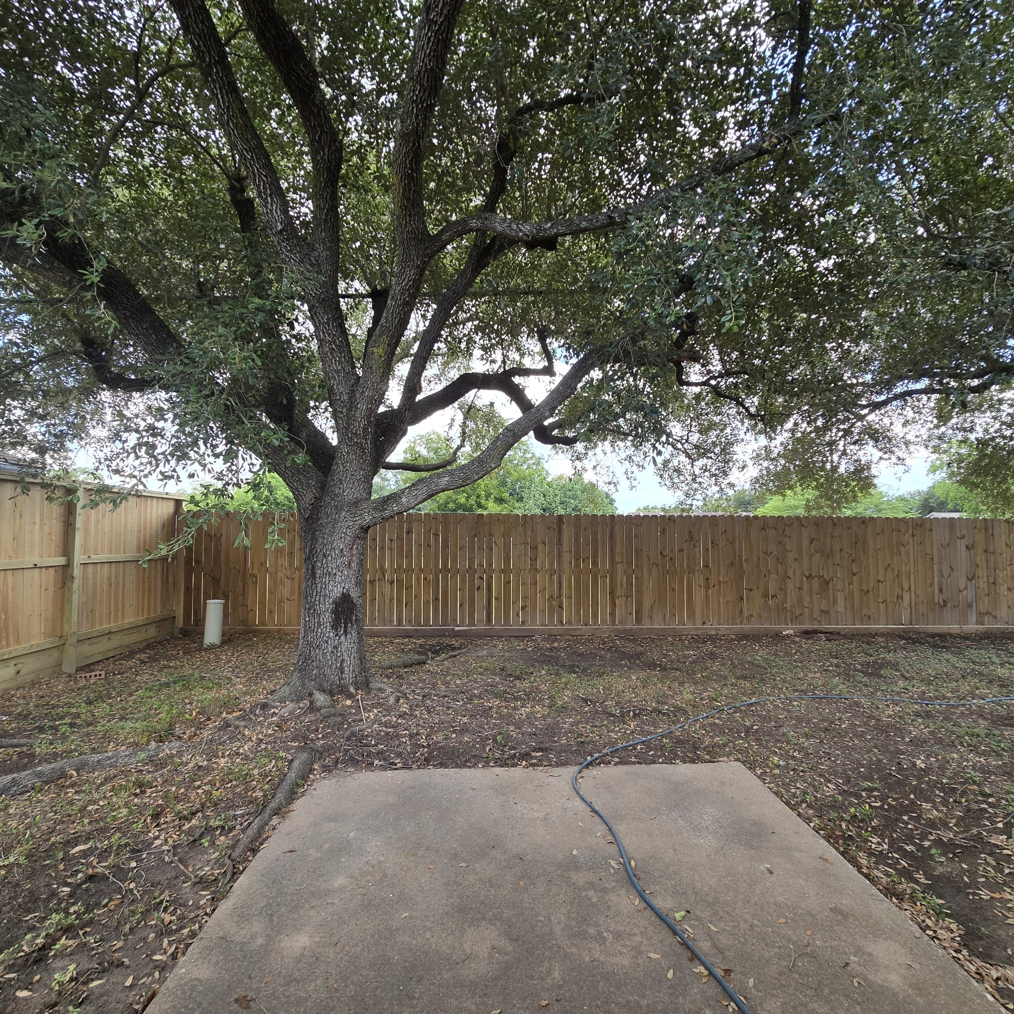 7222 Ridgeberry Drive Property Photo 17