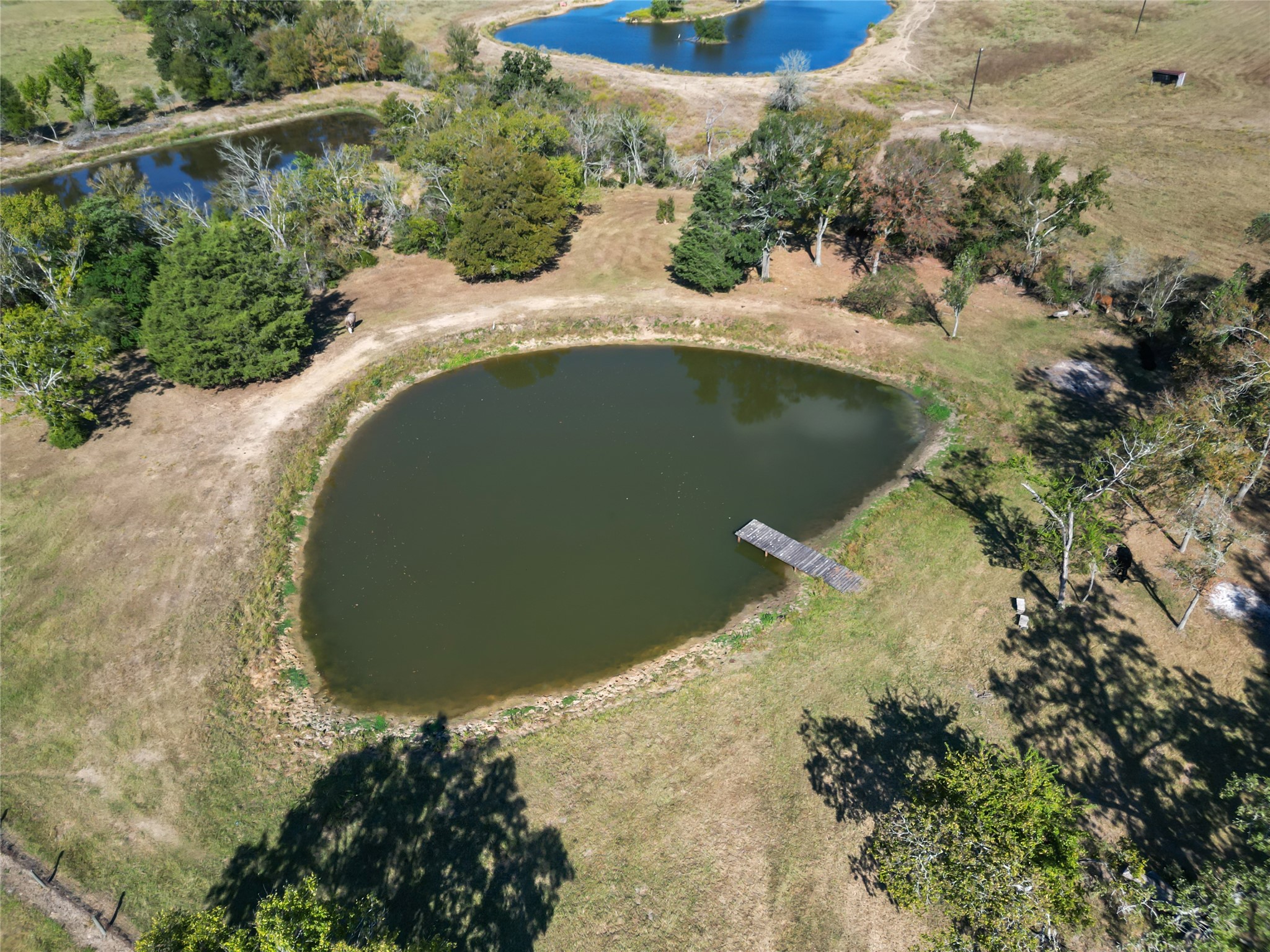 28109 Waller Gladish Rd Property Photo 19