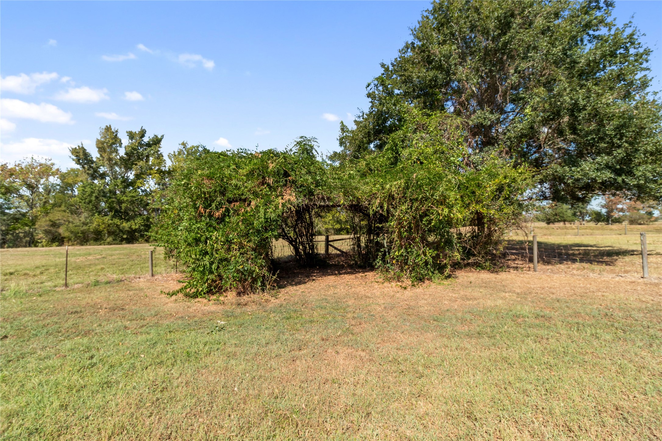 28109 Waller Gladish Rd Property Photo 41