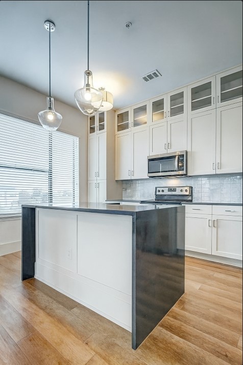 1508 Blodgett Street 609 Property Photo 6