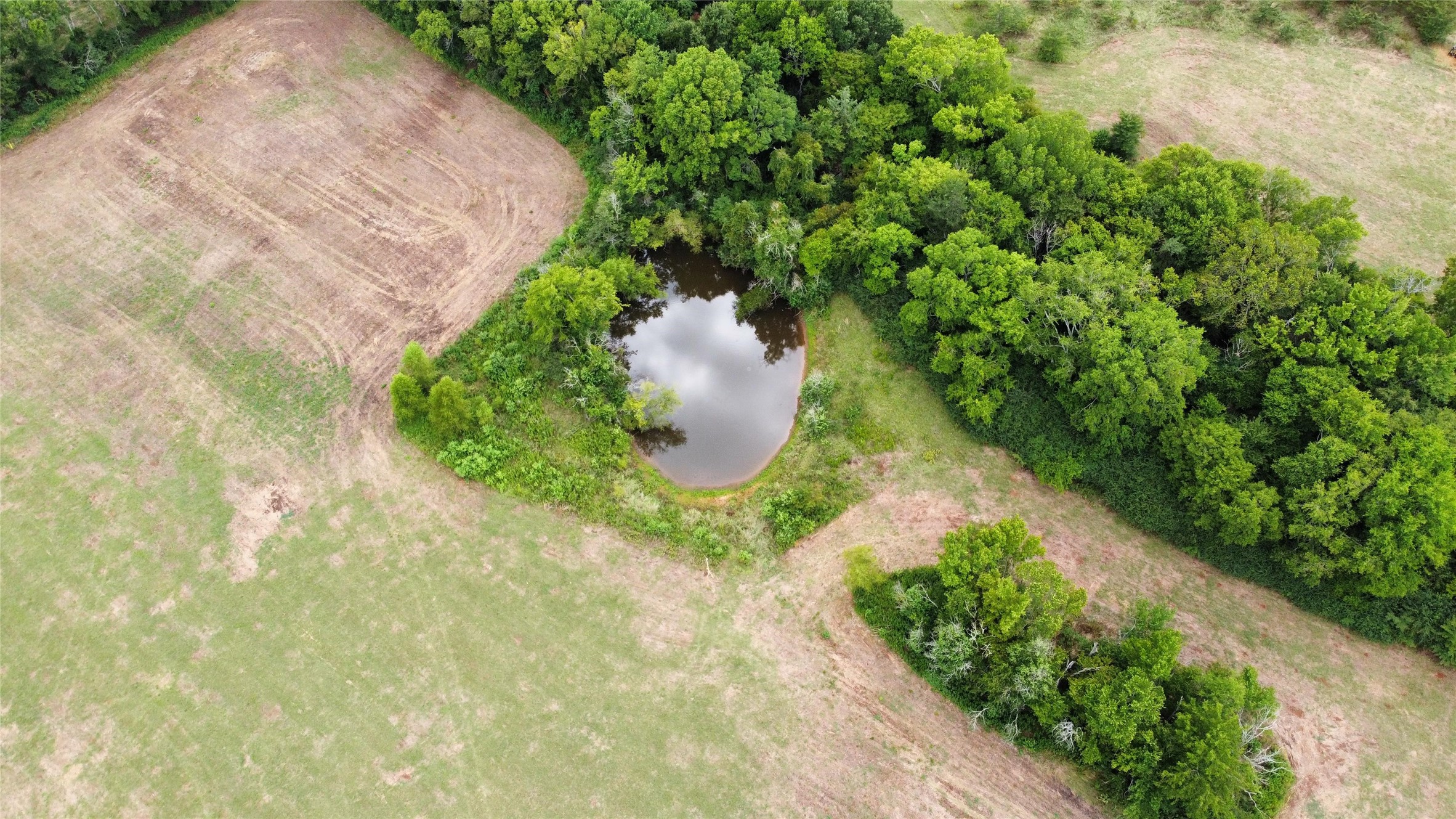 398 Fm 1191 S Property Photo 8