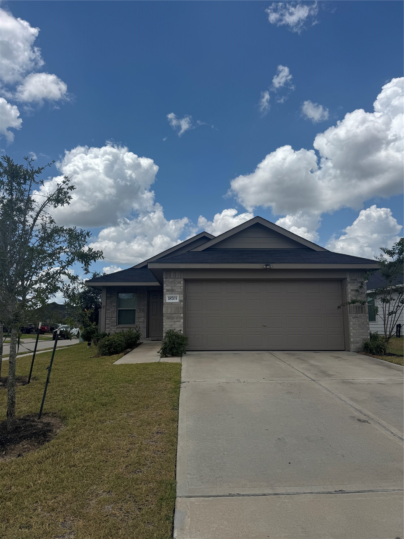 18703 Mercer Falls Drive Property Photo 1
