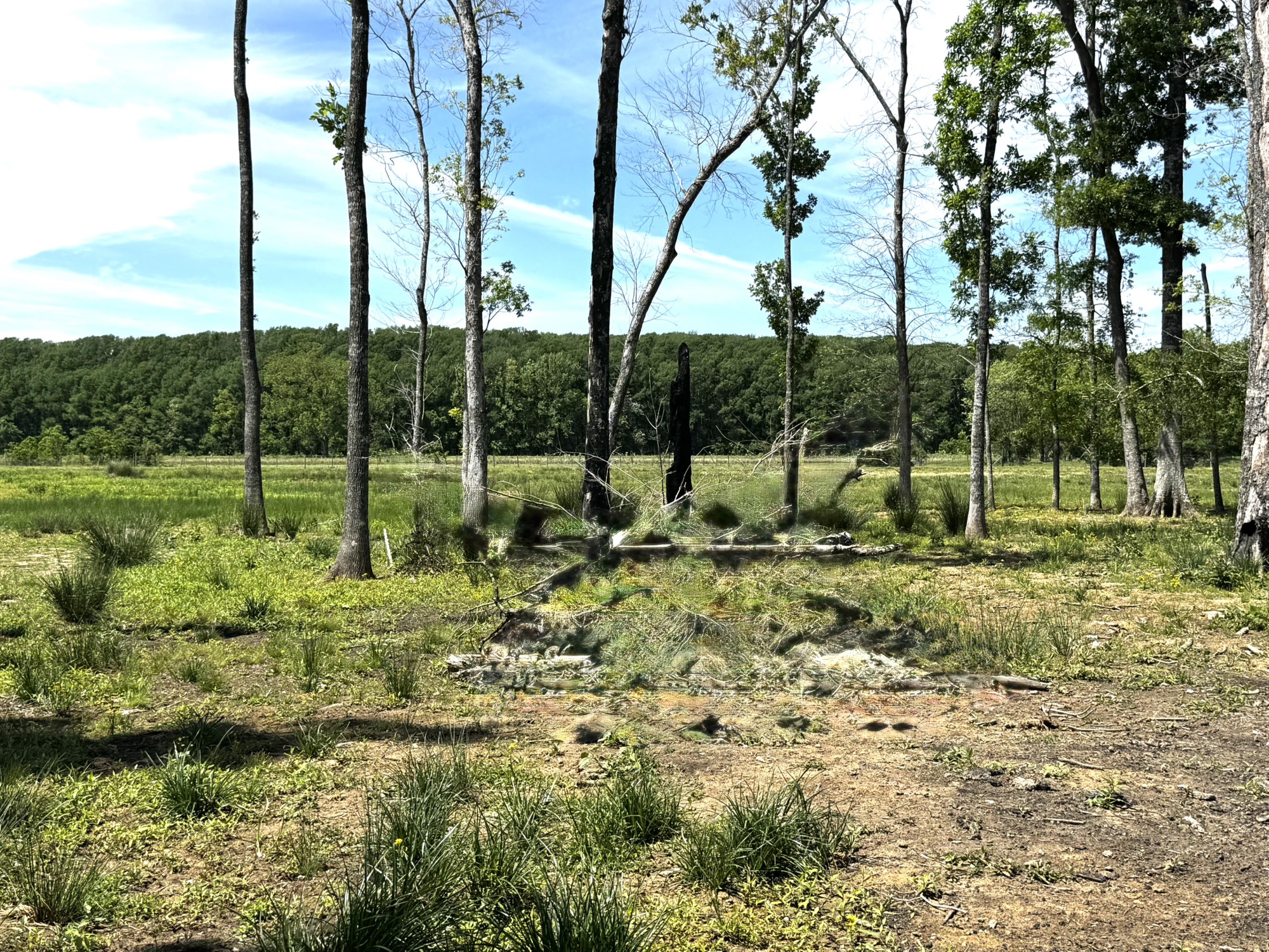 3400 Fm 1127 Property Photo 3
