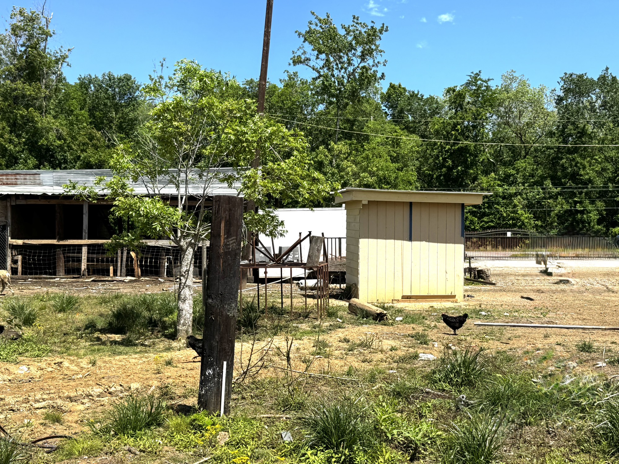 3400 Fm 1127 Property Photo 41