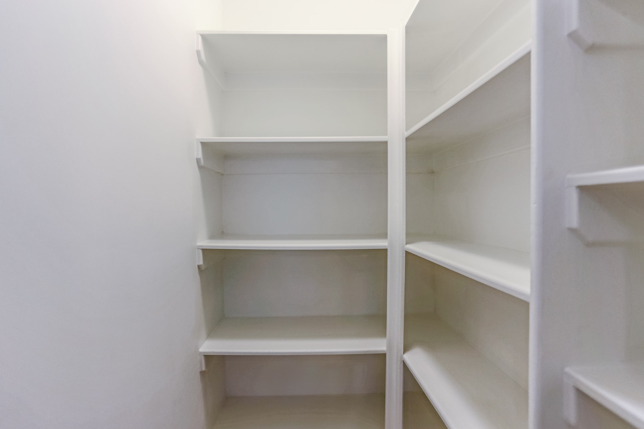 14 Woodlot Court Property Photo 11