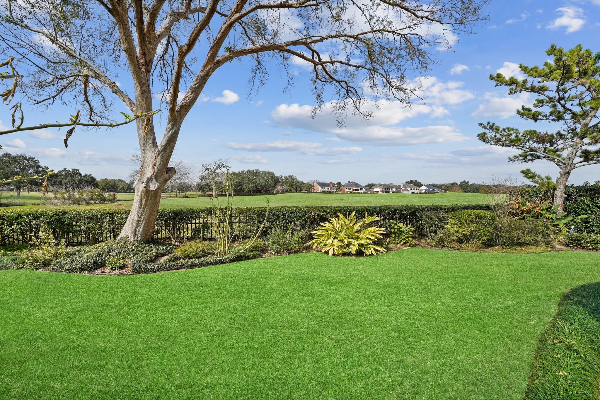 25 The Oval Street Property Photo 6