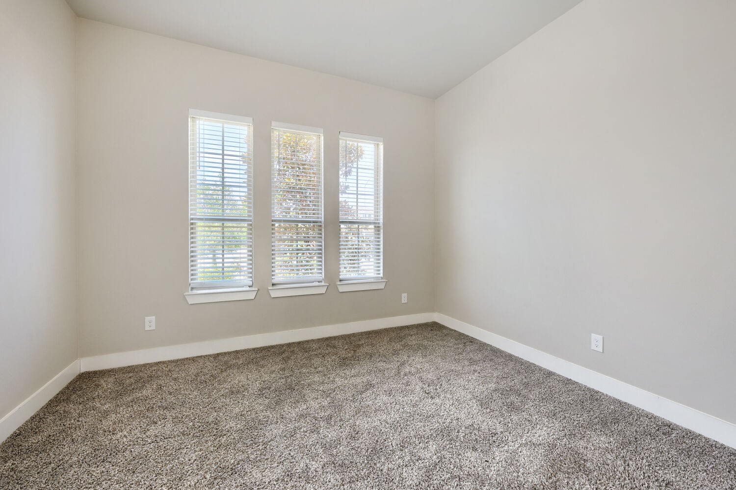 11906 Papaveri Street Property Photo 17