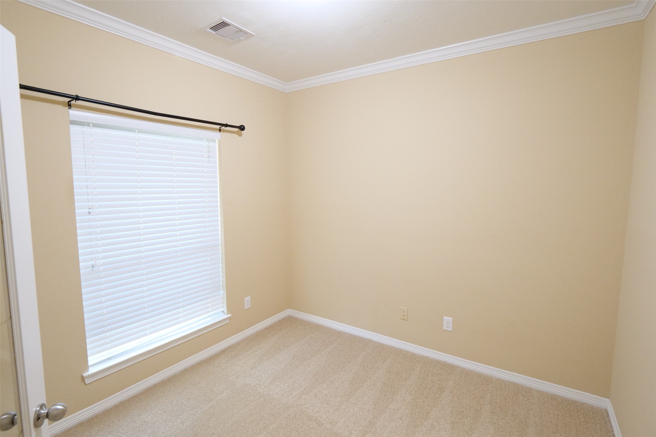 27131 Danbridge Gulch Lane Property Photo 4