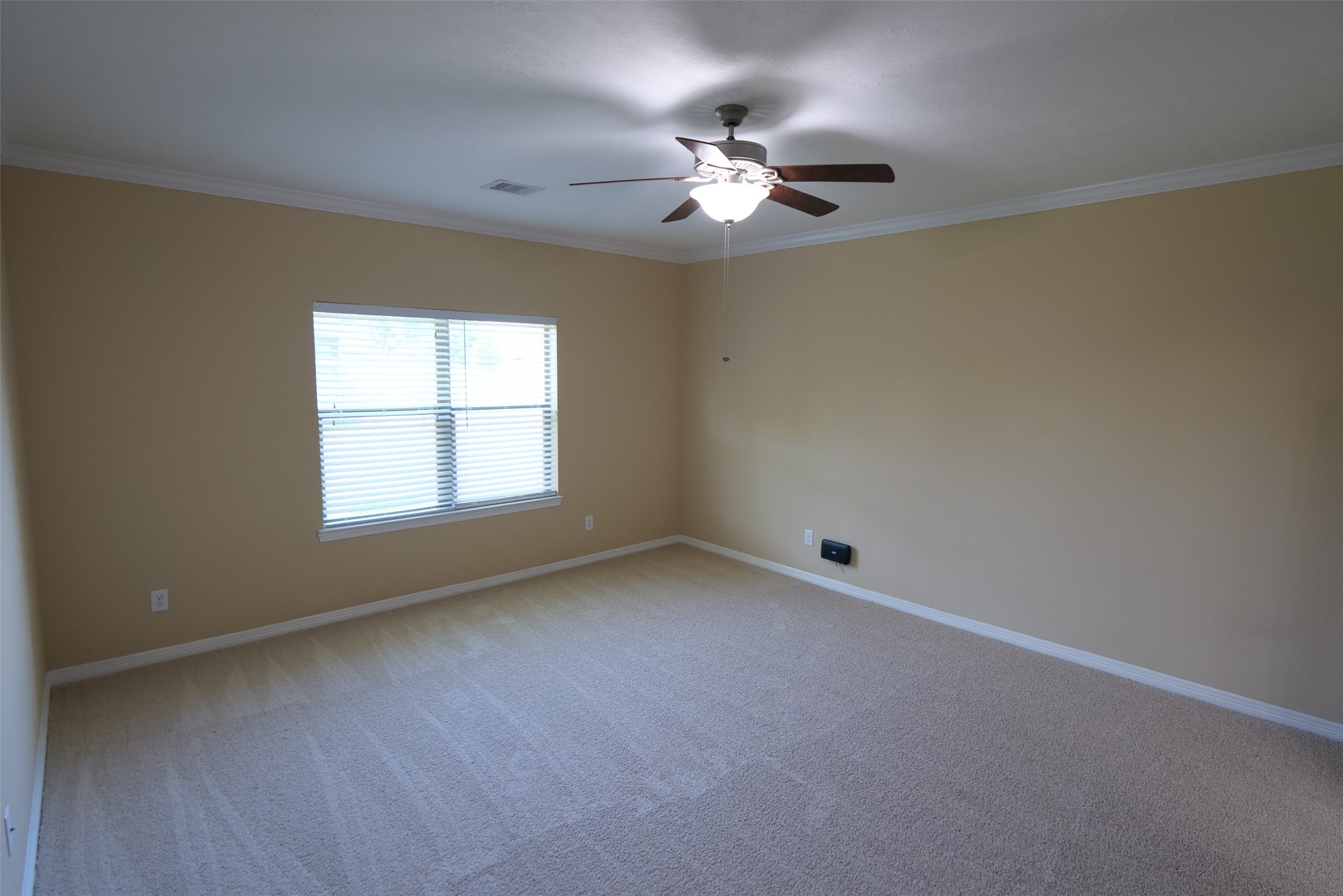 27131 Danbridge Gulch Lane Property Photo 14