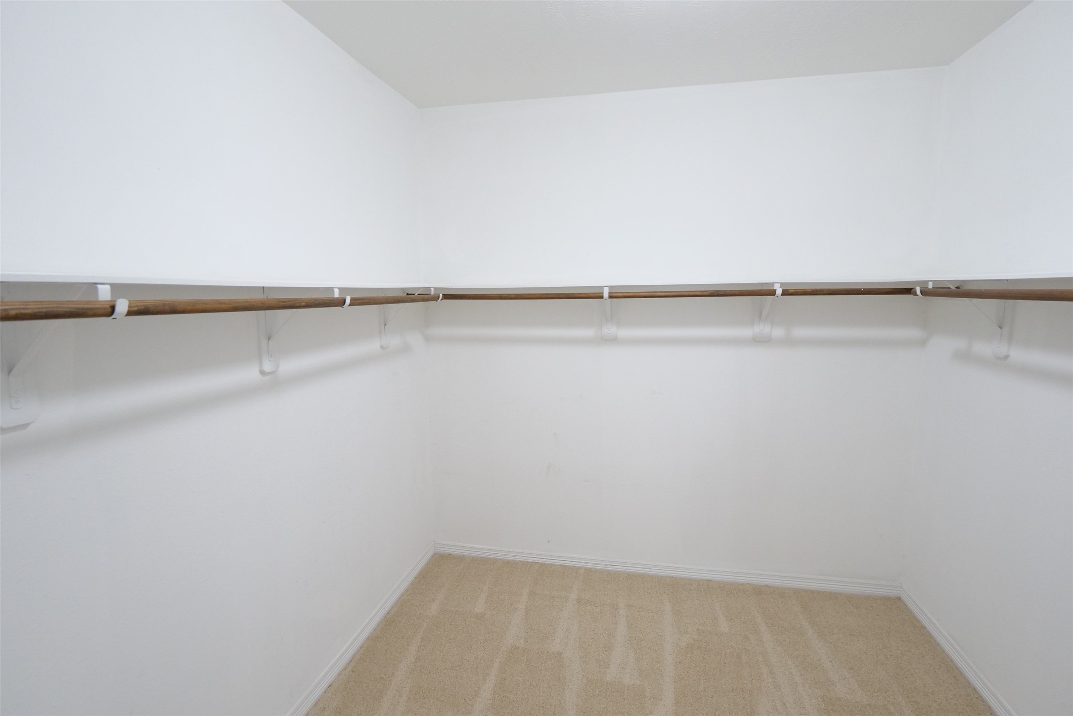 27131 Danbridge Gulch Lane Property Photo 20
