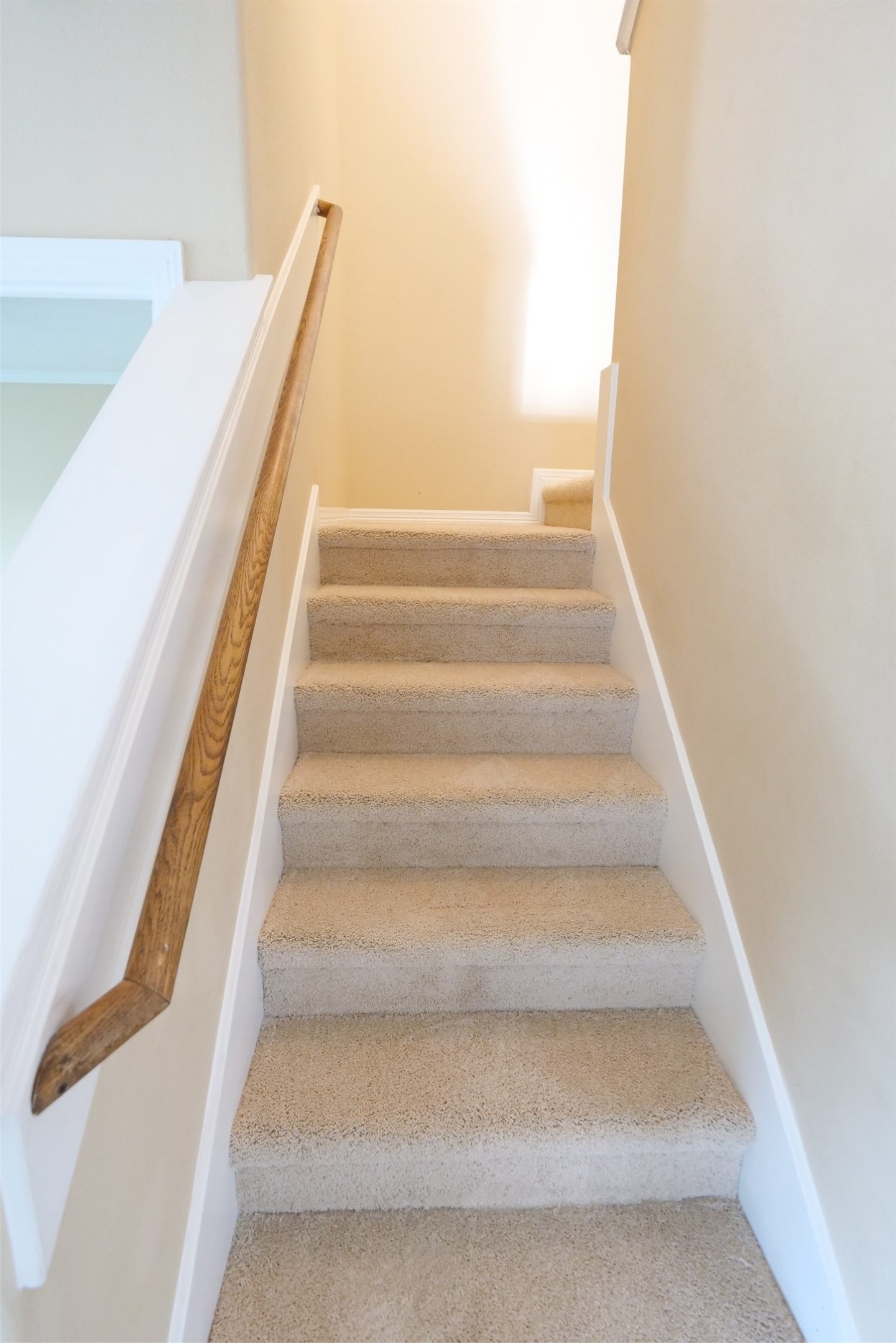 27131 Danbridge Gulch Lane Property Photo 22