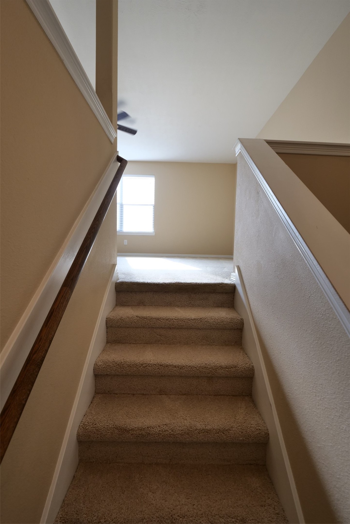 27131 Danbridge Gulch Lane Property Photo 23