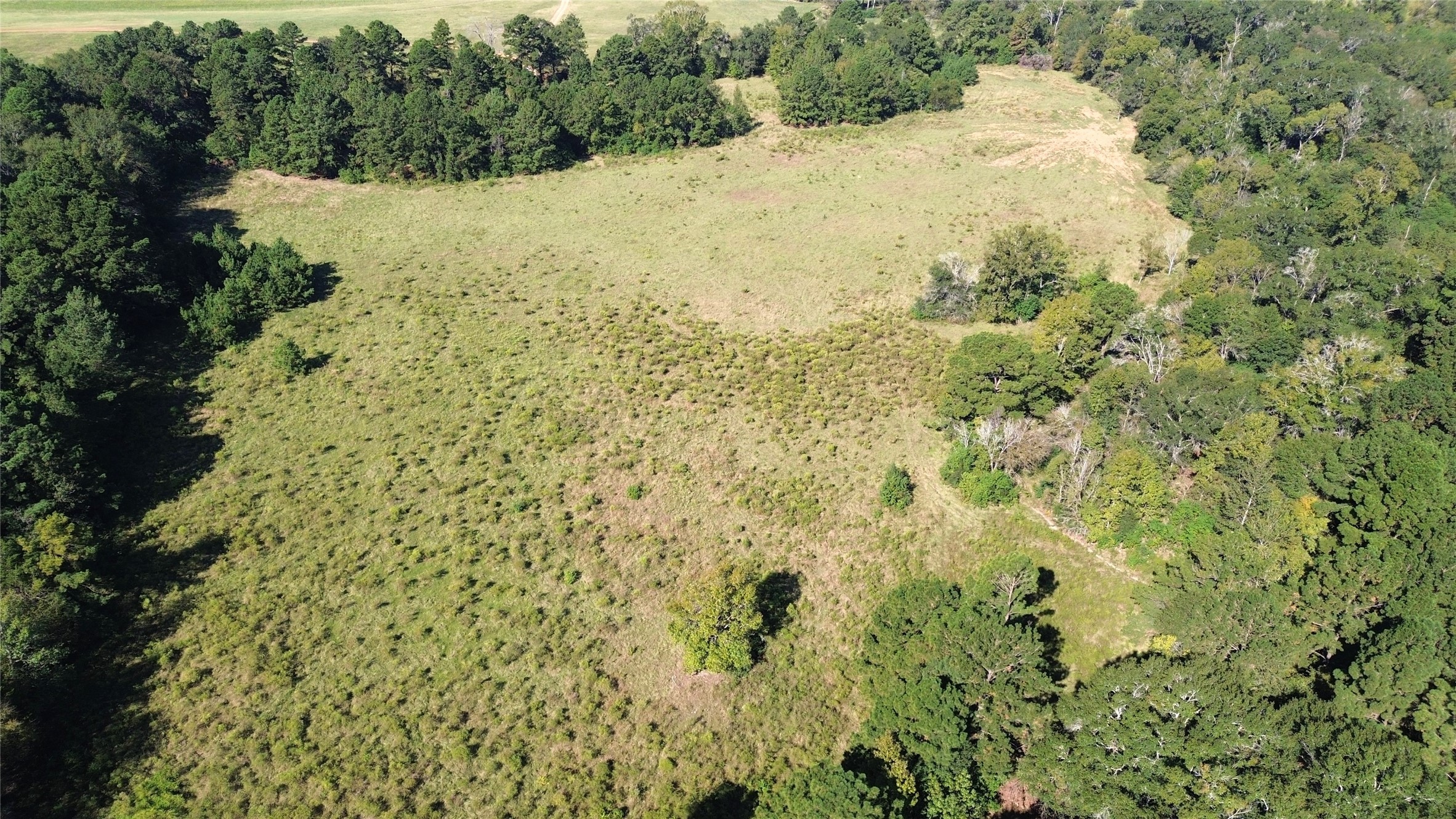 Tbd Cr 2120 Property Photo