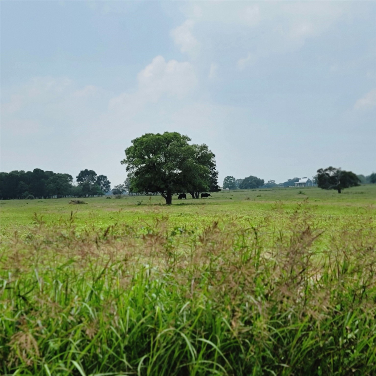 Tbd Andreas Road Road Property Photo 1