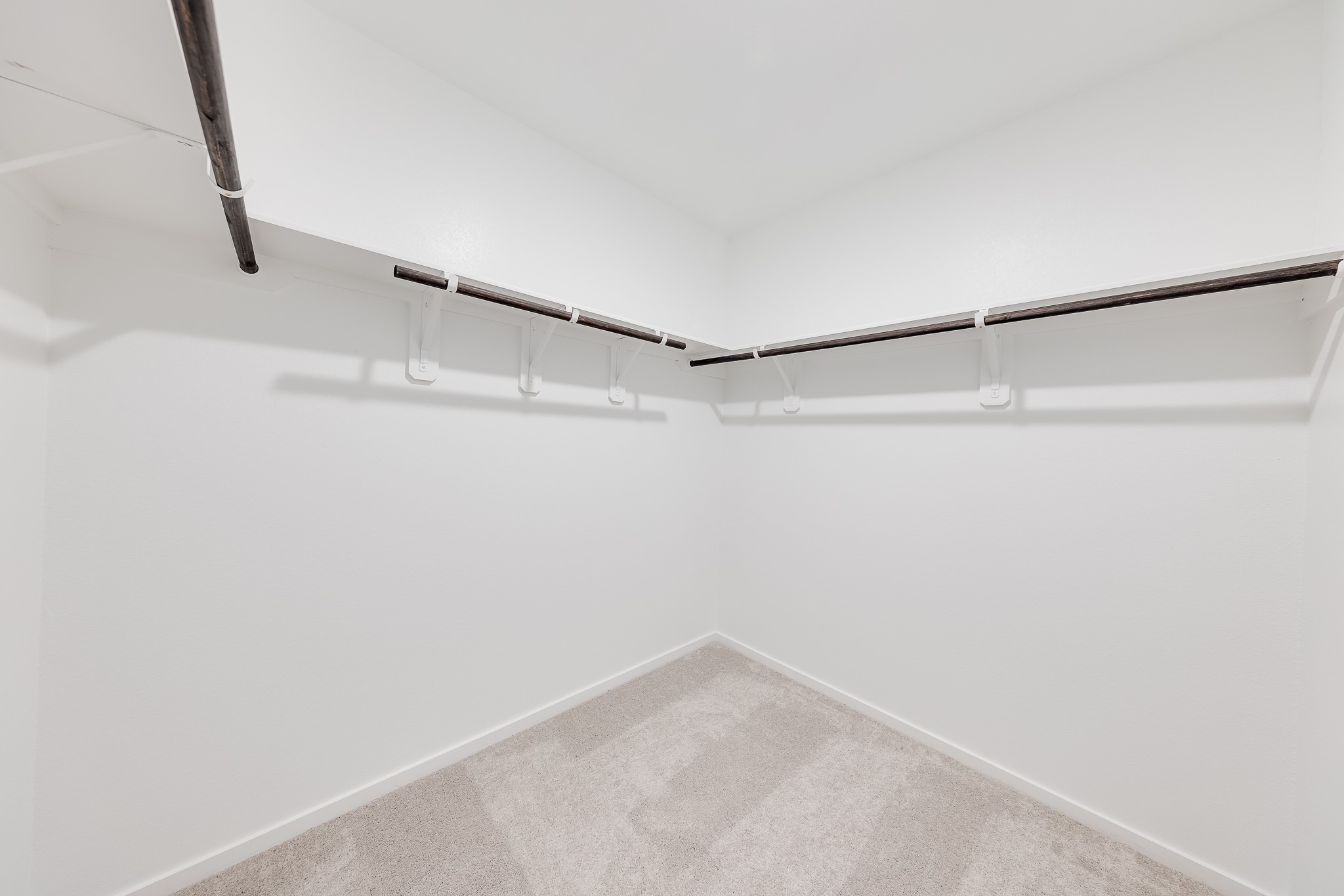 29043 Pearl Barley Way Property Photo 21