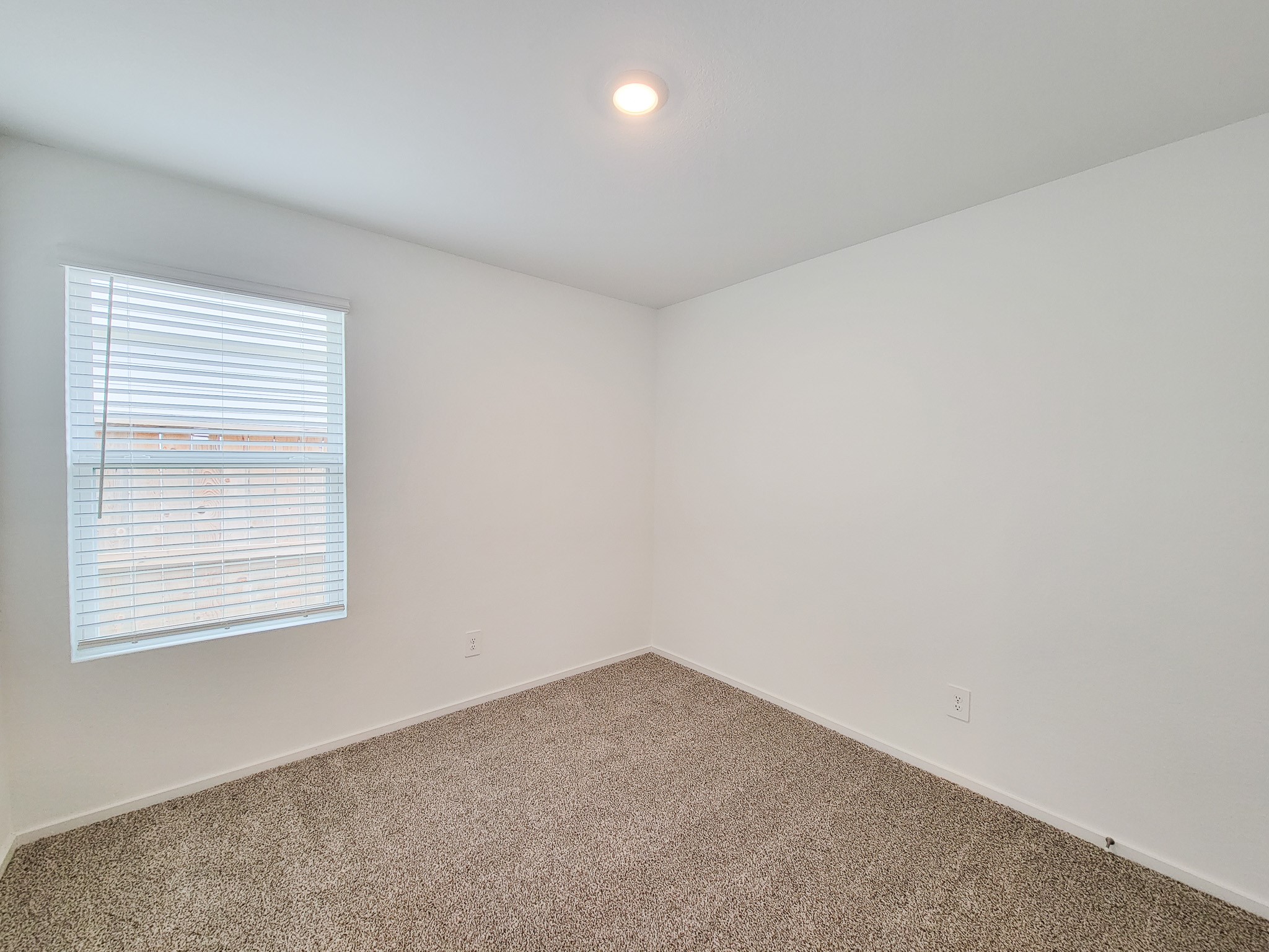 14316 Leafy Willow Drive Property Photo 31
