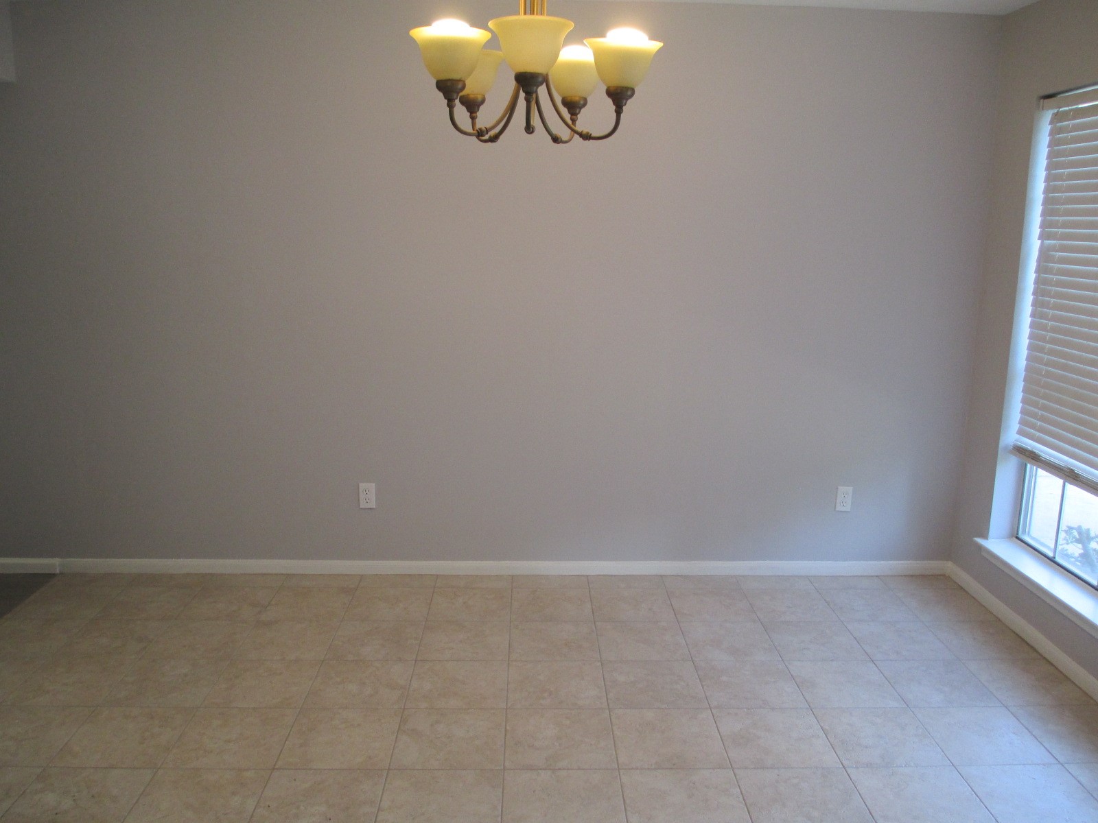 16714 Cheshire Place Drive Property Photo 4