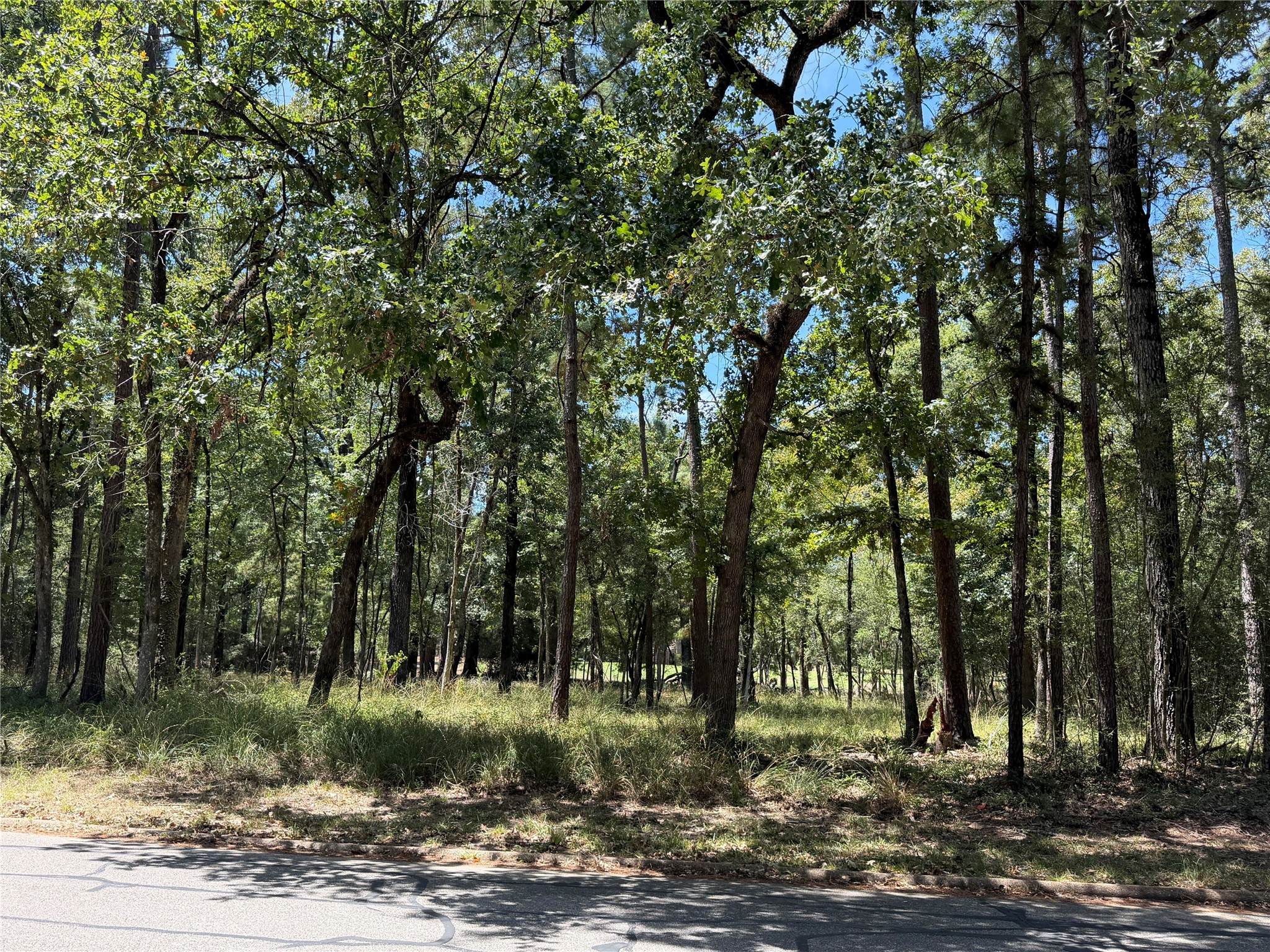 Tbd Doral Drive Property Photo 5