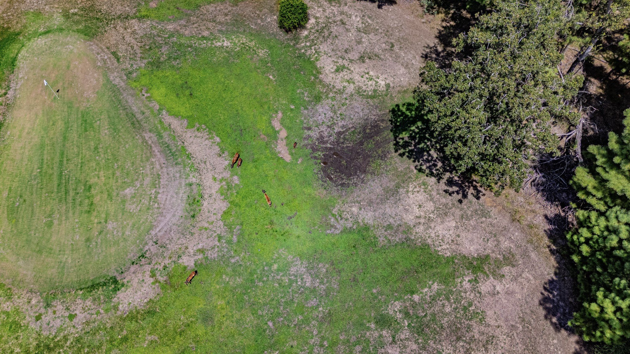 Tbd Doral Drive Property Photo 10