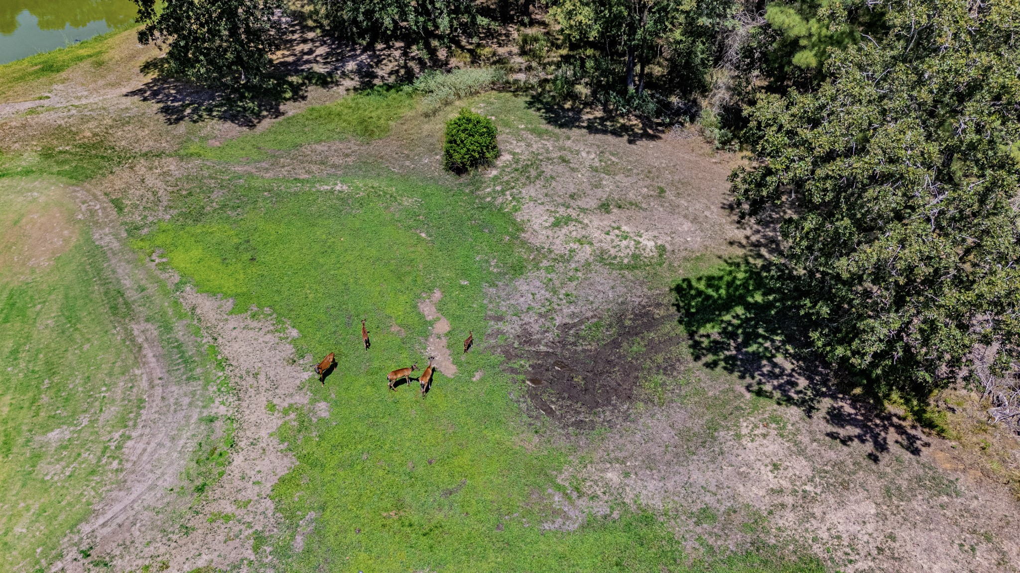 Tbd Doral Drive Property Photo 11