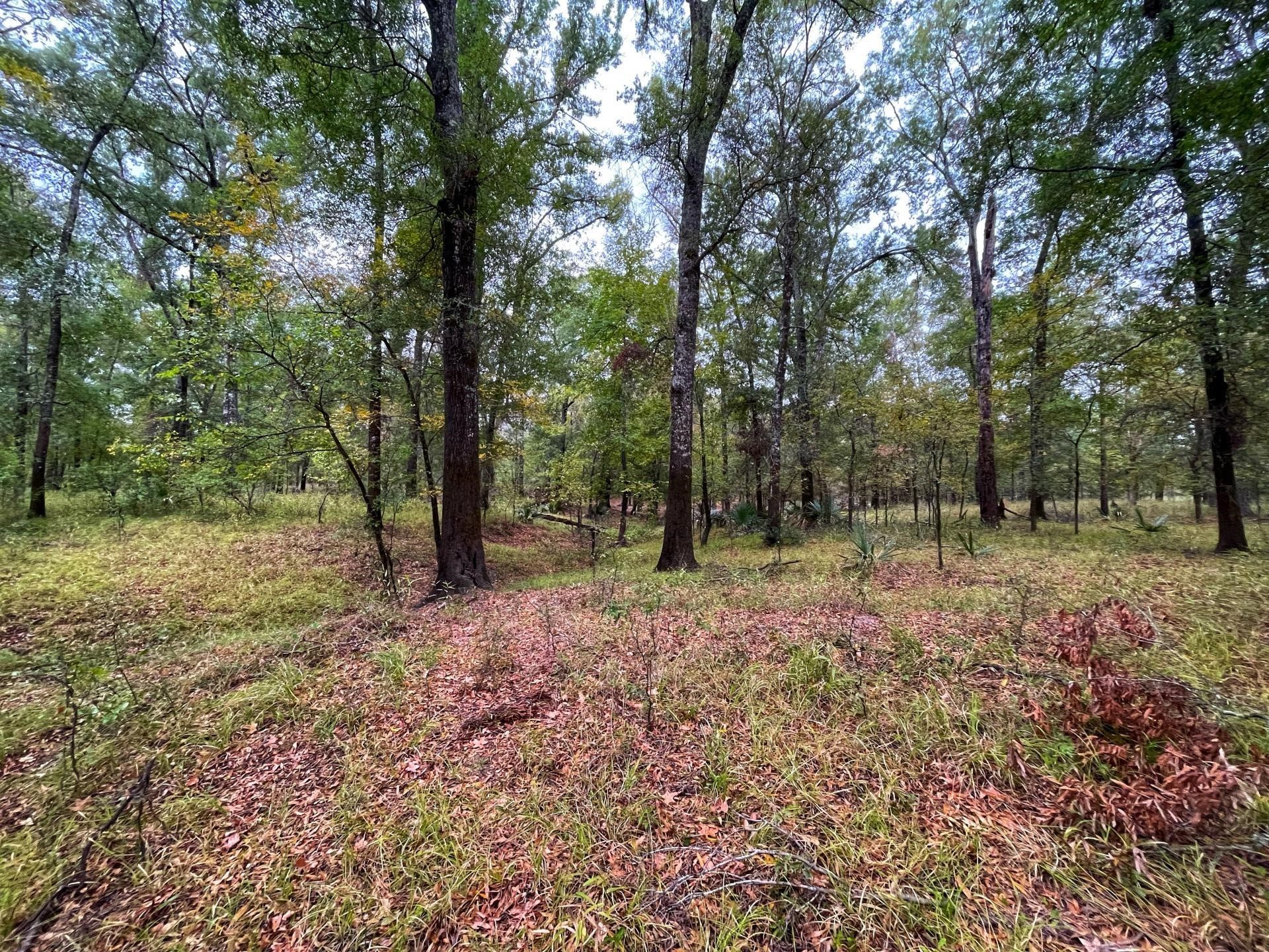 000 Fm-247 Property Photo 7