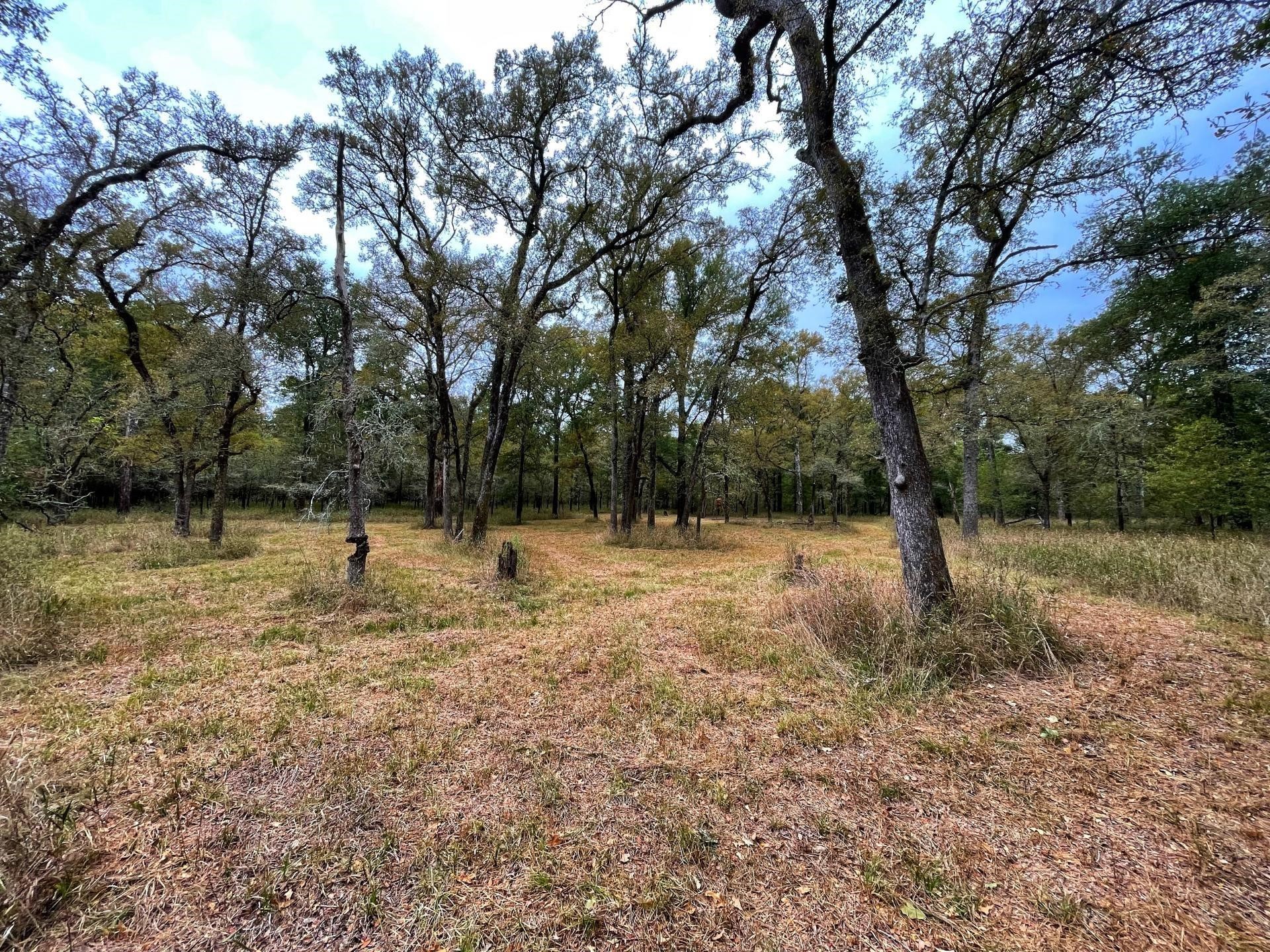 000 Fm-247 Property Photo 8