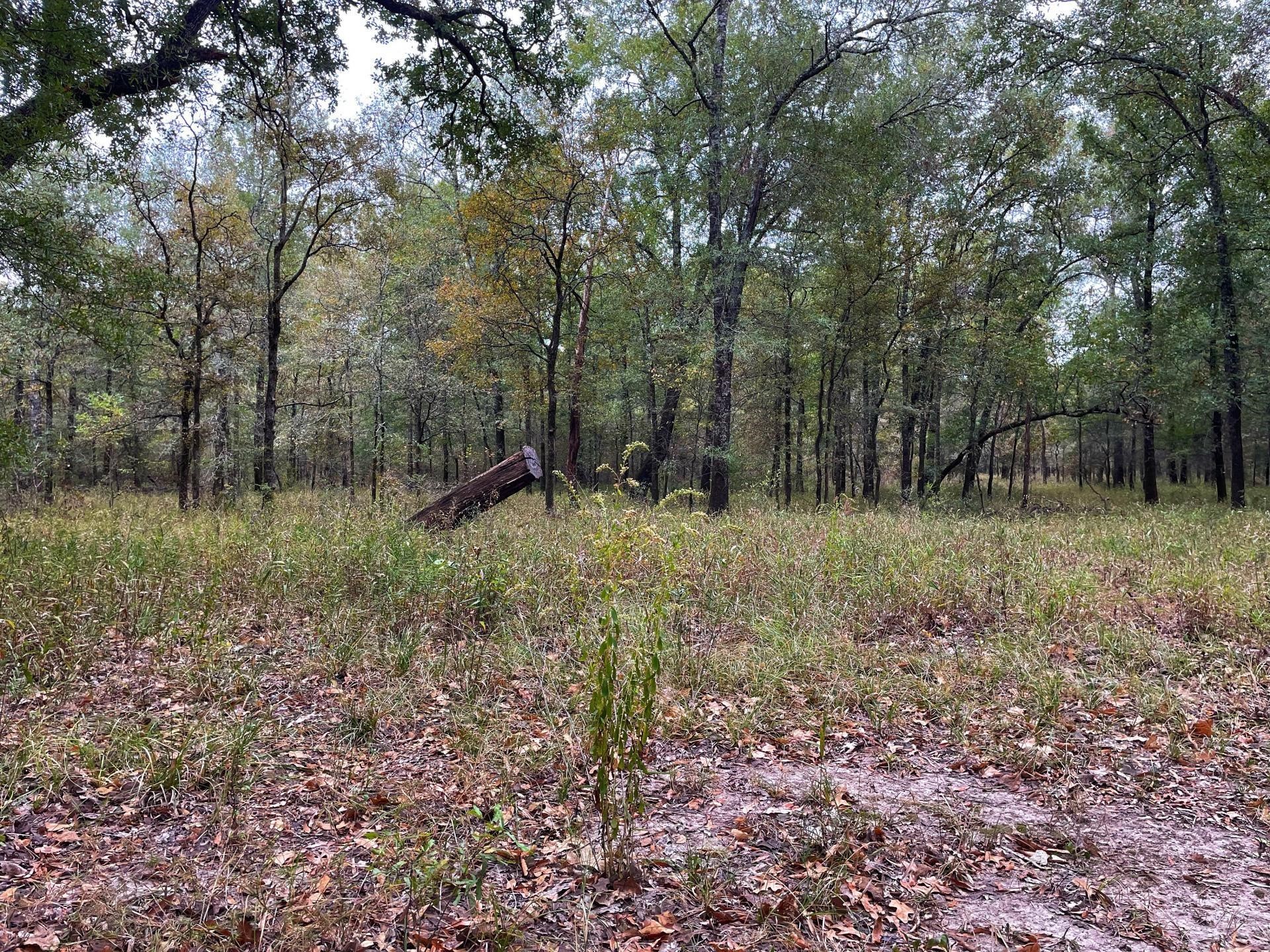 000 Fm-247 Property Photo 10