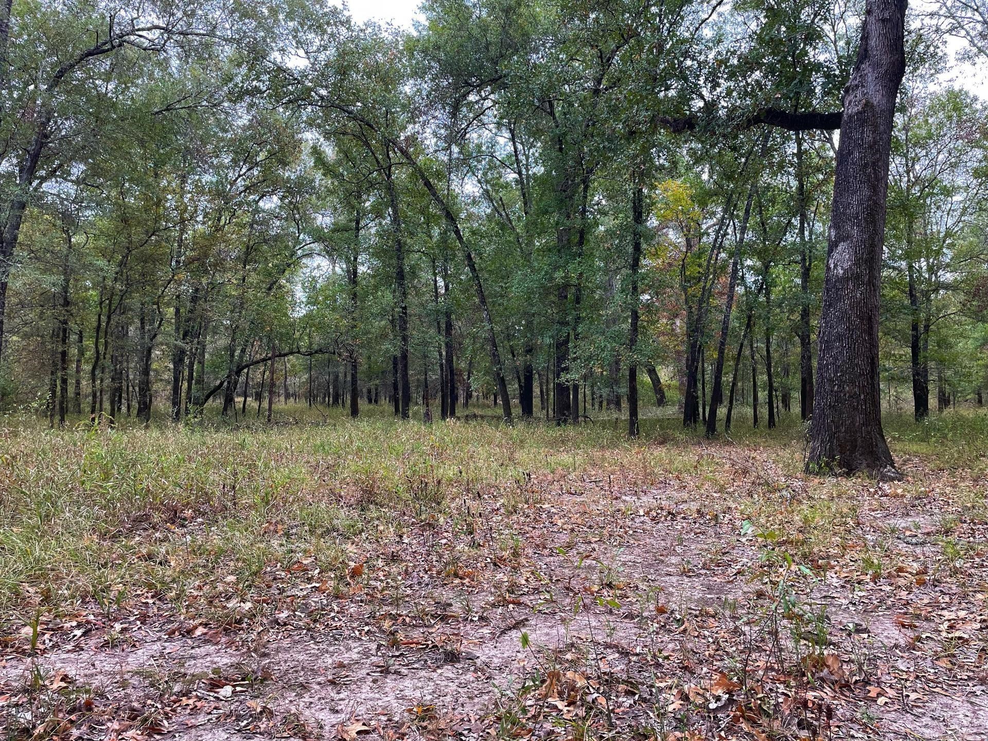 000 Fm-247 Property Photo 12