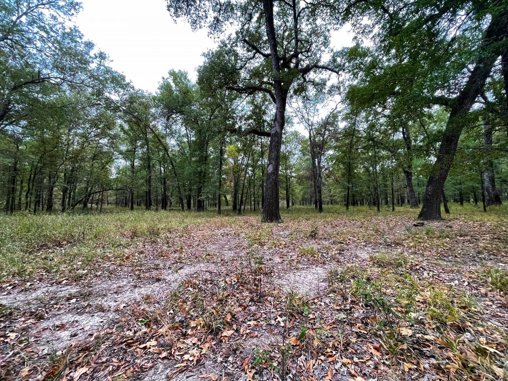 000 Fm-247 Property Photo 13