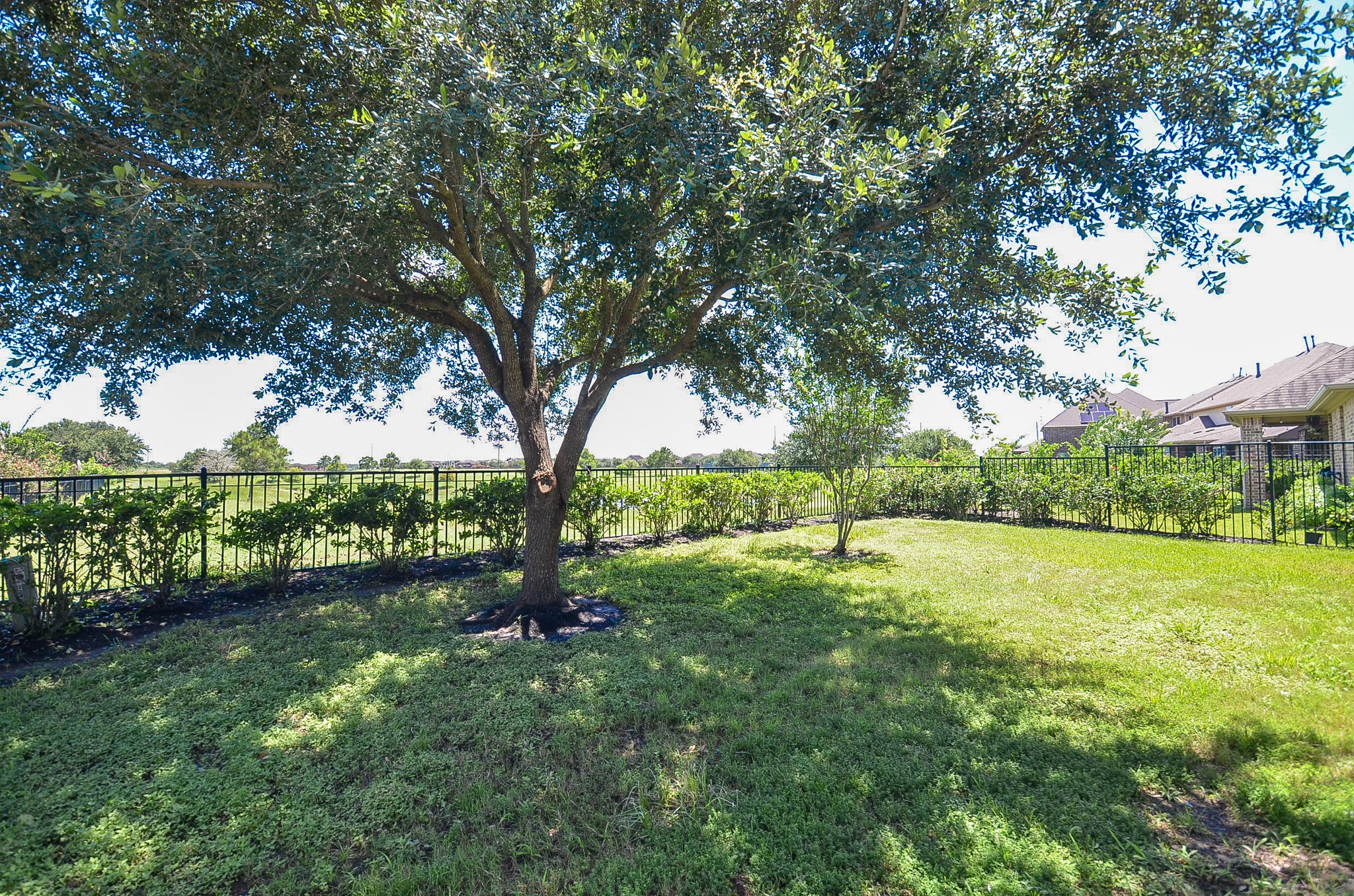 23411 Farfalla Lane Property Photo 41
