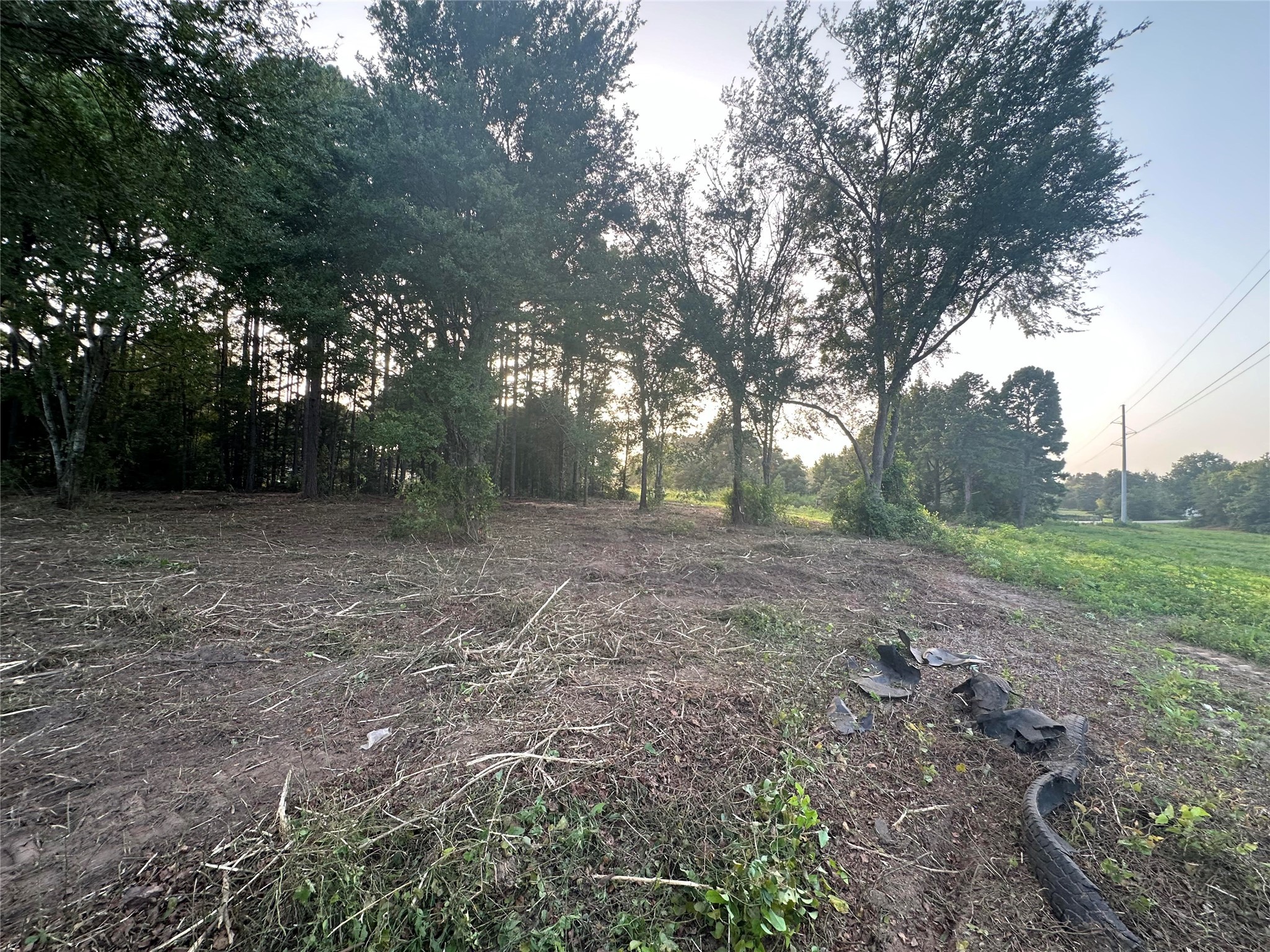 Tbd Lot 1 C R 386 Property Photo 1