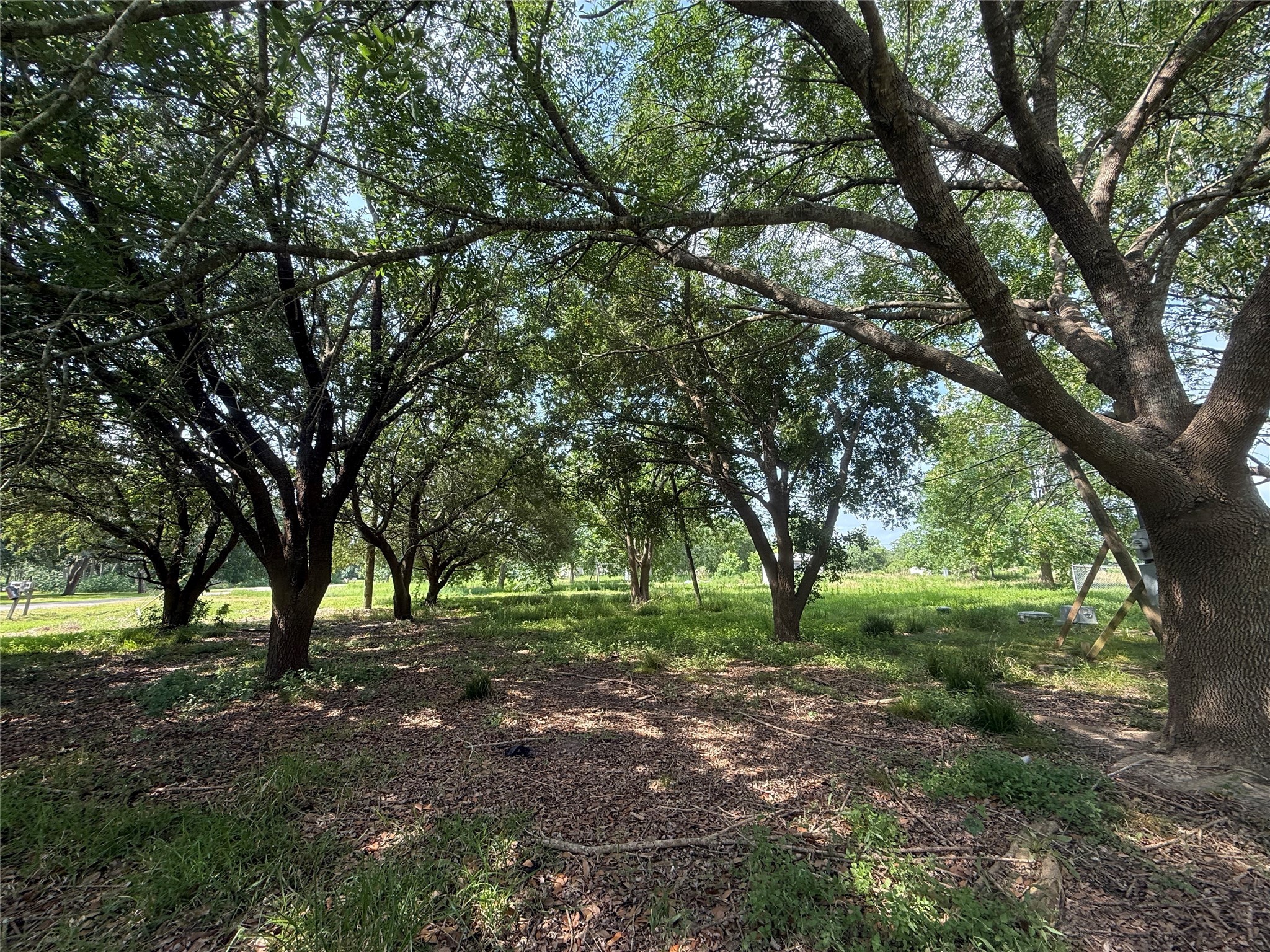 4422 County Road 888 Property Photo 3