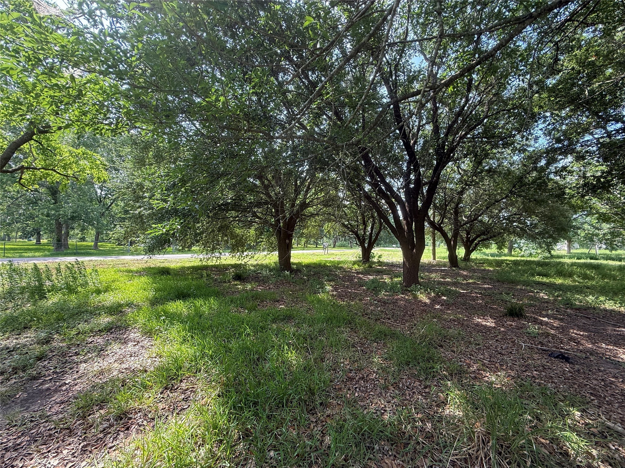 4422 County Road 888 Property Photo 6