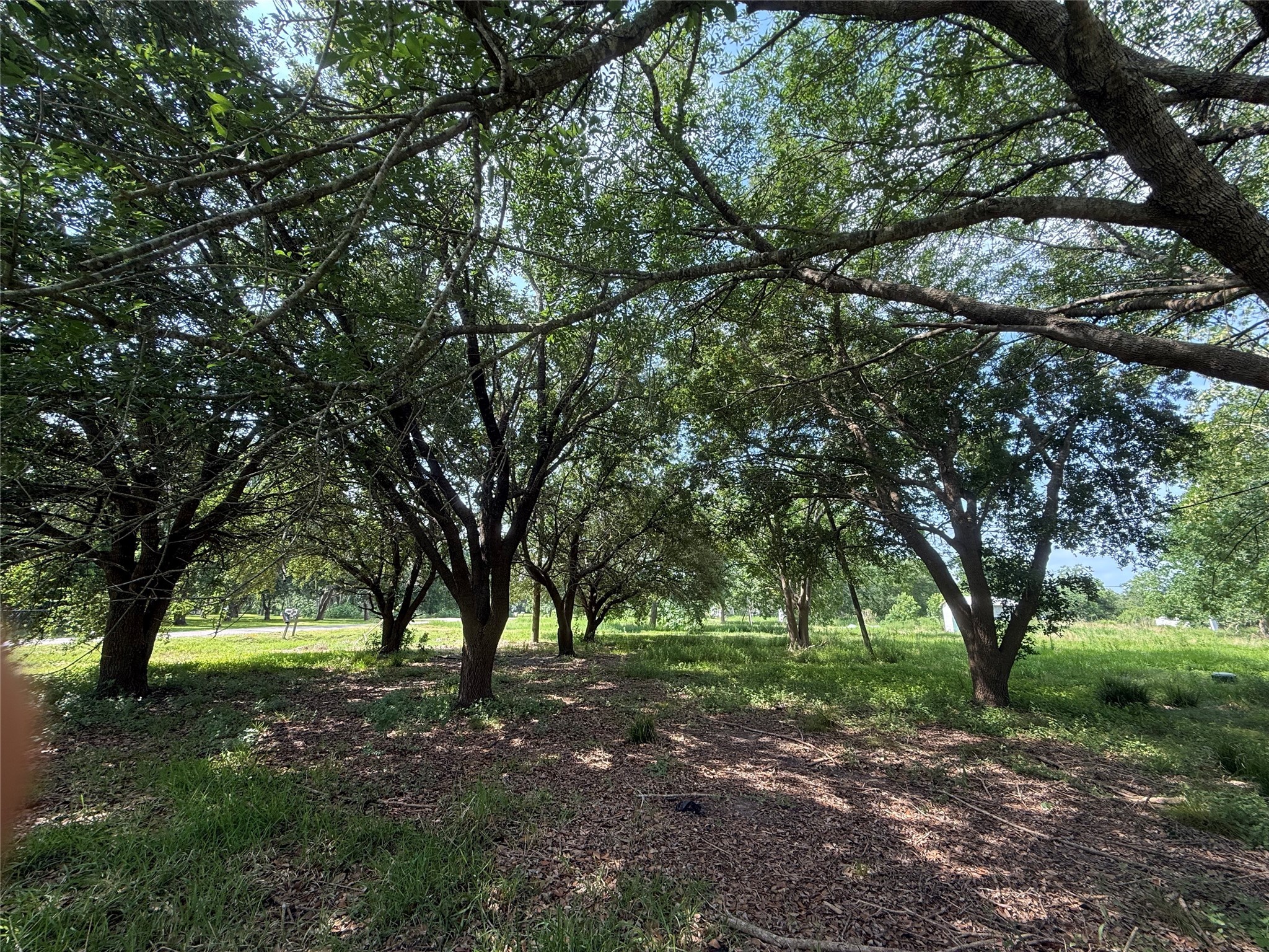 4422 County Road 888 Property Photo 8